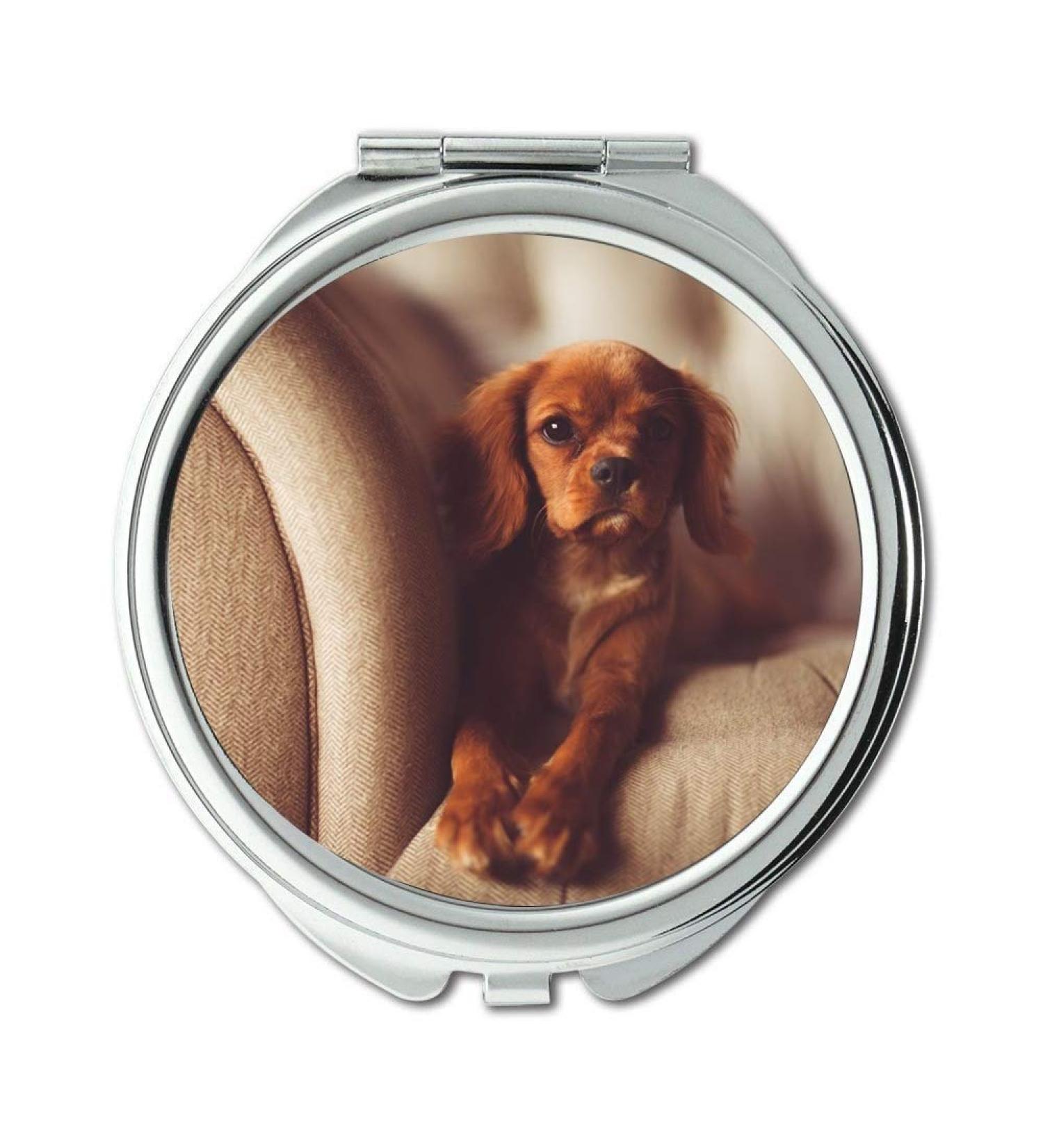 Mirror Compact Mirror Adorable Animal Canine Close-Up Couch Cute Dog pocket mirror portable mirror - Buy Online on GoSupps.com