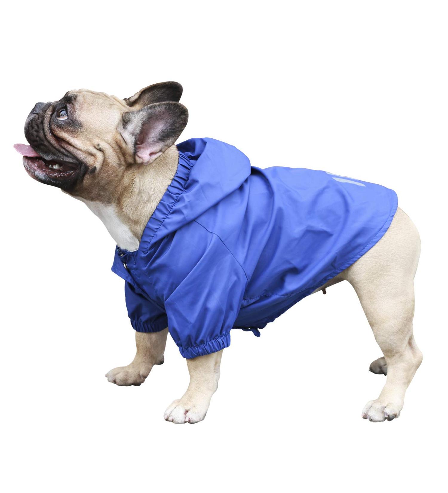 iChoue Lightweight Dog Raincoat Hooded Jacket for French Bulldog Shiba Inu - Blue/Size M - Buy Online on GoSupps.com