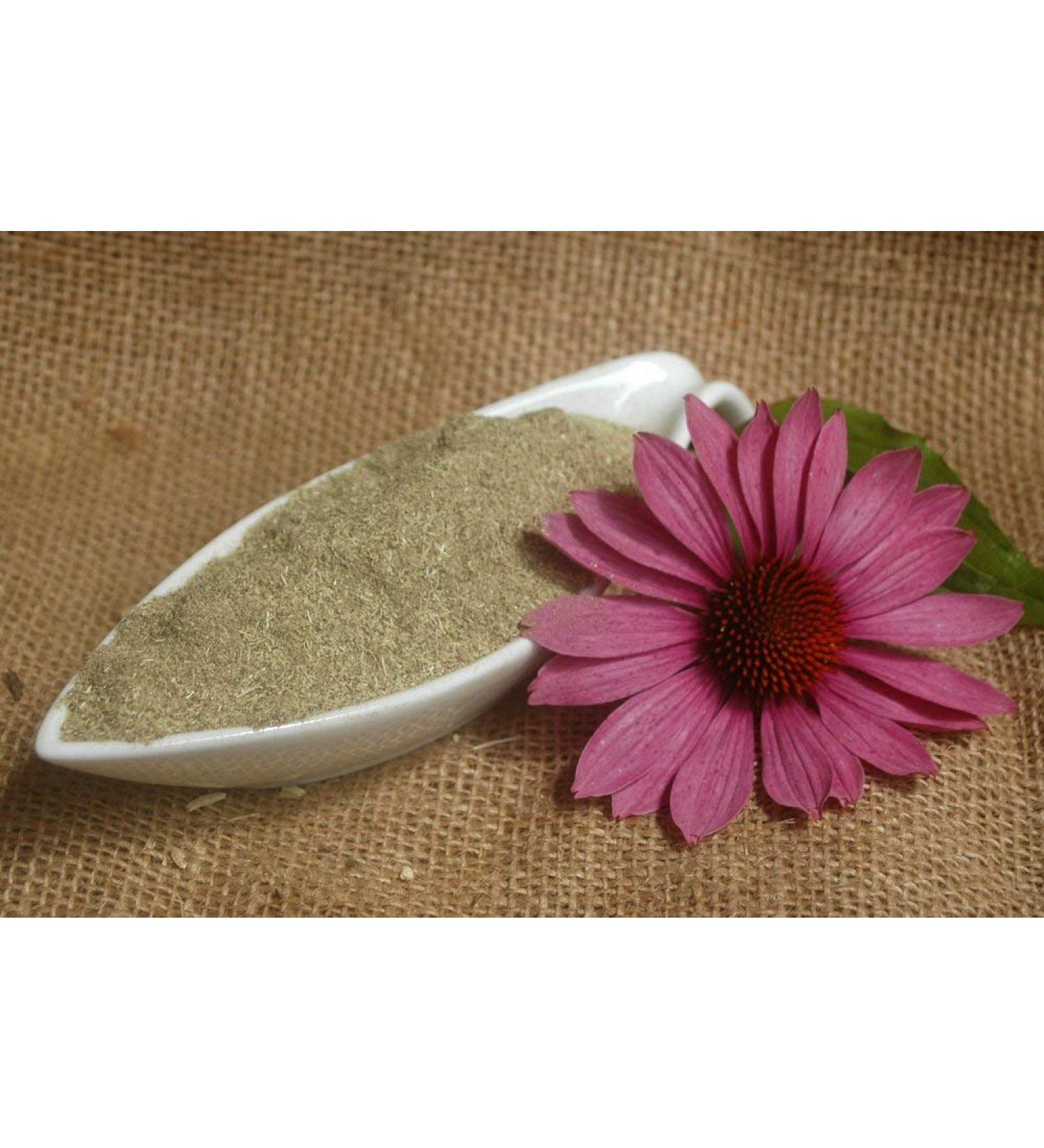 Krauterino24 Krauterino24 - Ground Sun Eight Echinacea Sungrass Quantity: 250g