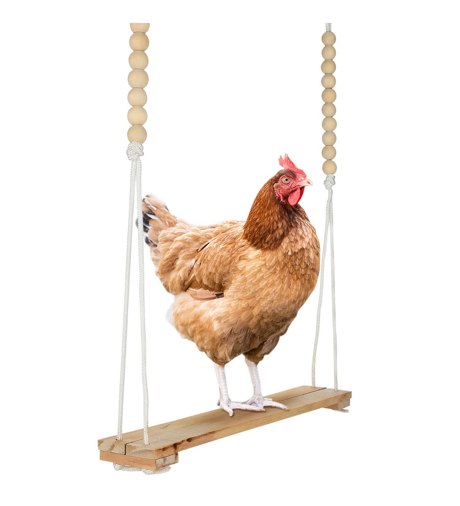 Adjustable Chicken Swing Toy for Coop with Roost - Large Ladder Bar Accessories | Includes Ropes & Metal Hook | 15.5in x 2.75in - Buy Online on GoSupps.com