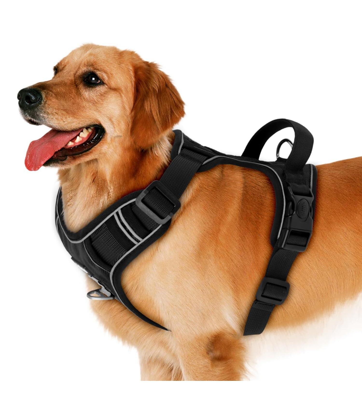 Etaccu No-Pull Dog Harness with Handle - Adjustable Reflective Breathable Safety Harness for Medium Dogs - Black XL - Buy Online on GoSupps.com