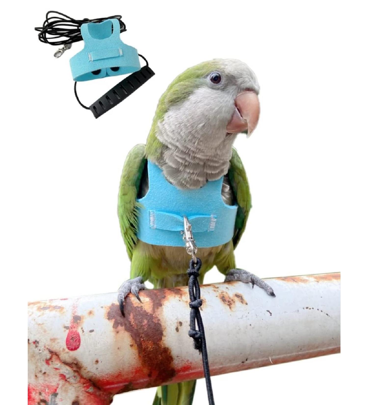 Bird Flight Harness Vest for Parakeets, Cockatiels, Conures, Budgies | Parrot Flight Suit with Leash, Rope, and Handle | Outdoor Training Clothes for Bird Flying Activities | Anti Bite | Medium Blue - Buy Online on GoSupps.com