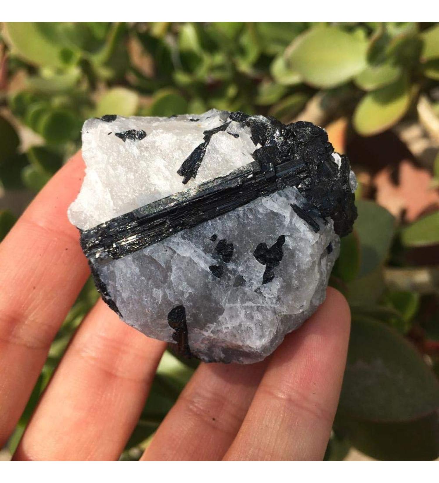 Natural Crystal Rough Natural Black Tourmaline with Quartz raw Crystals Natural Stones and Minerals Rough Black Tourmaline Specimen Reiki Stones - Buy Online on GoSupps.com