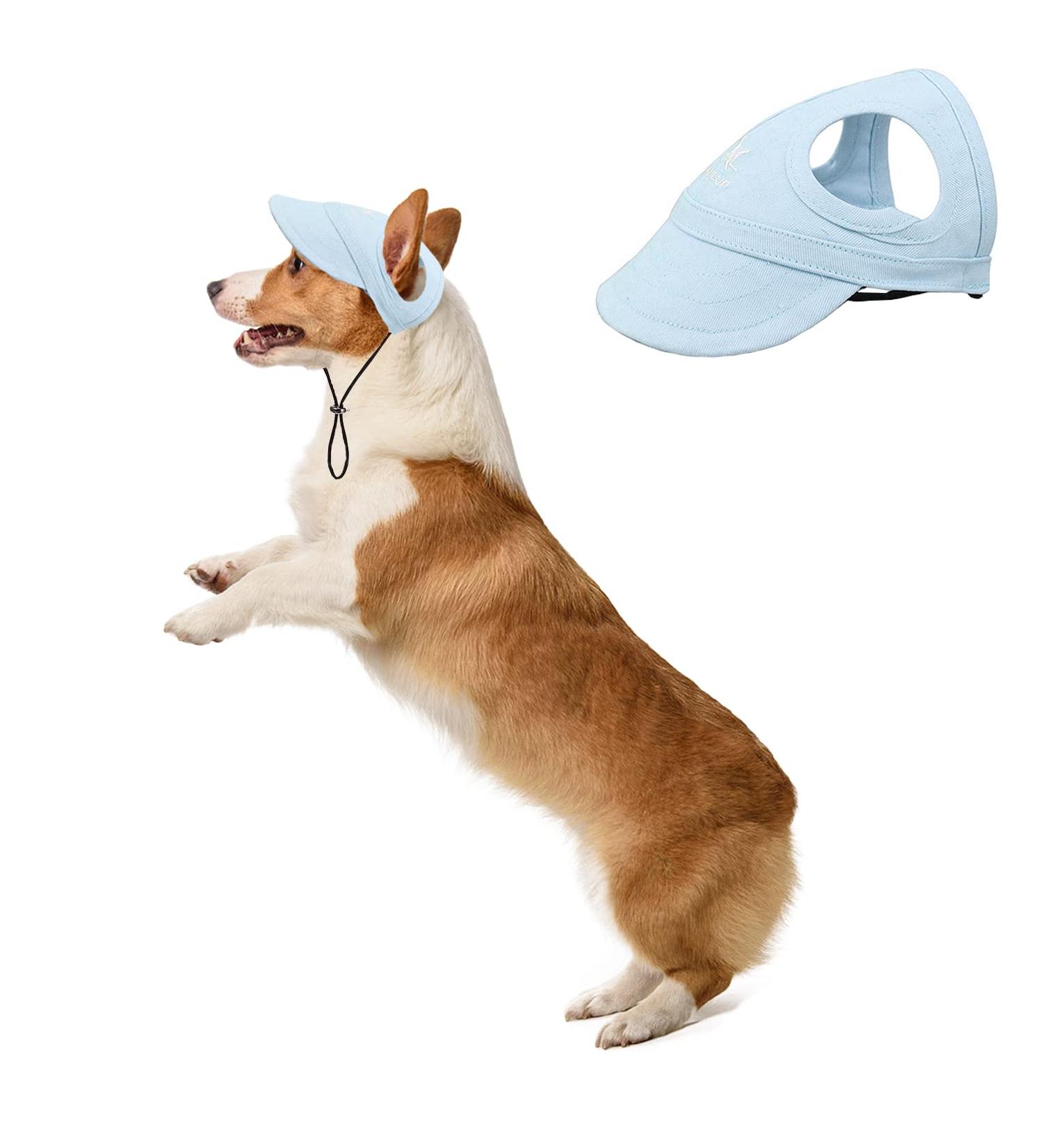 BT BEAR Hundege Baseball Cap for Dogs - Adjustable Summer Hat with Ear Holes for Small & Medium Pets (Size M Light Blue) - Perfect for Travel & Sports - Buy Online on GoSupps.com