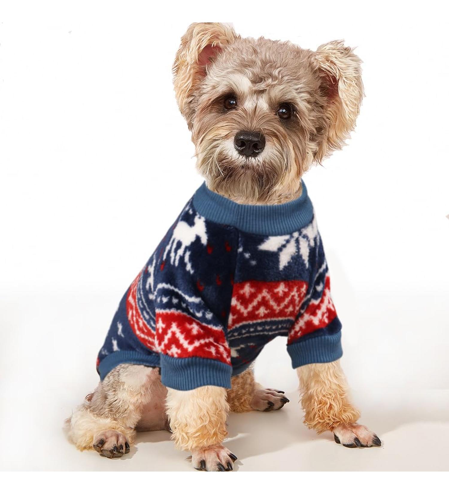 Yaodhaod Fleece Dog Sweater for Small Dogs | Ethnic Style Winter Clothing | Ultra Soft Thermal Blue Puppy Sweatshirt (L) - Buy Online on GoSupps.com