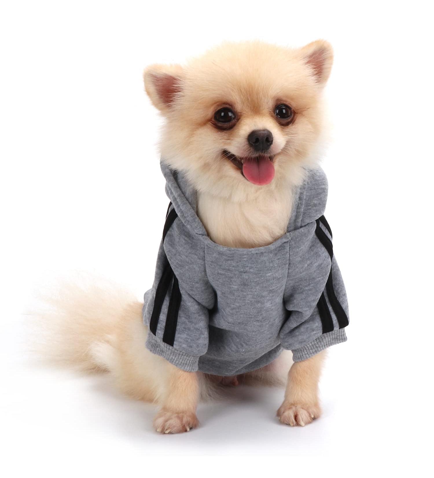 Buy Cute Gray Dog Hoodie Coat - Warm Cotton Sweater for Puppies & Cats | XS Size - International Shipping - Buy Online on GoSupps.com