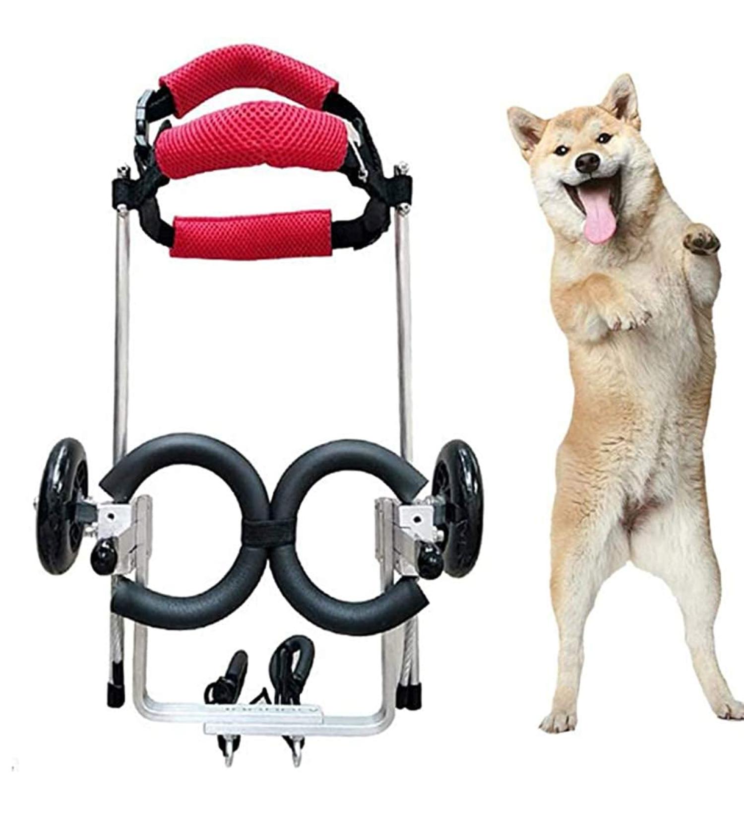 Dog Wheelchair Aluminum Alloy Pet Wheelchair 2-Wheel Full Support Pet Rehabilitation Wheelchair Pet Wheelchair Cart for Hind Leg Rehabilitation Disabled Dog Medium - Buy Online on GoSupps.com