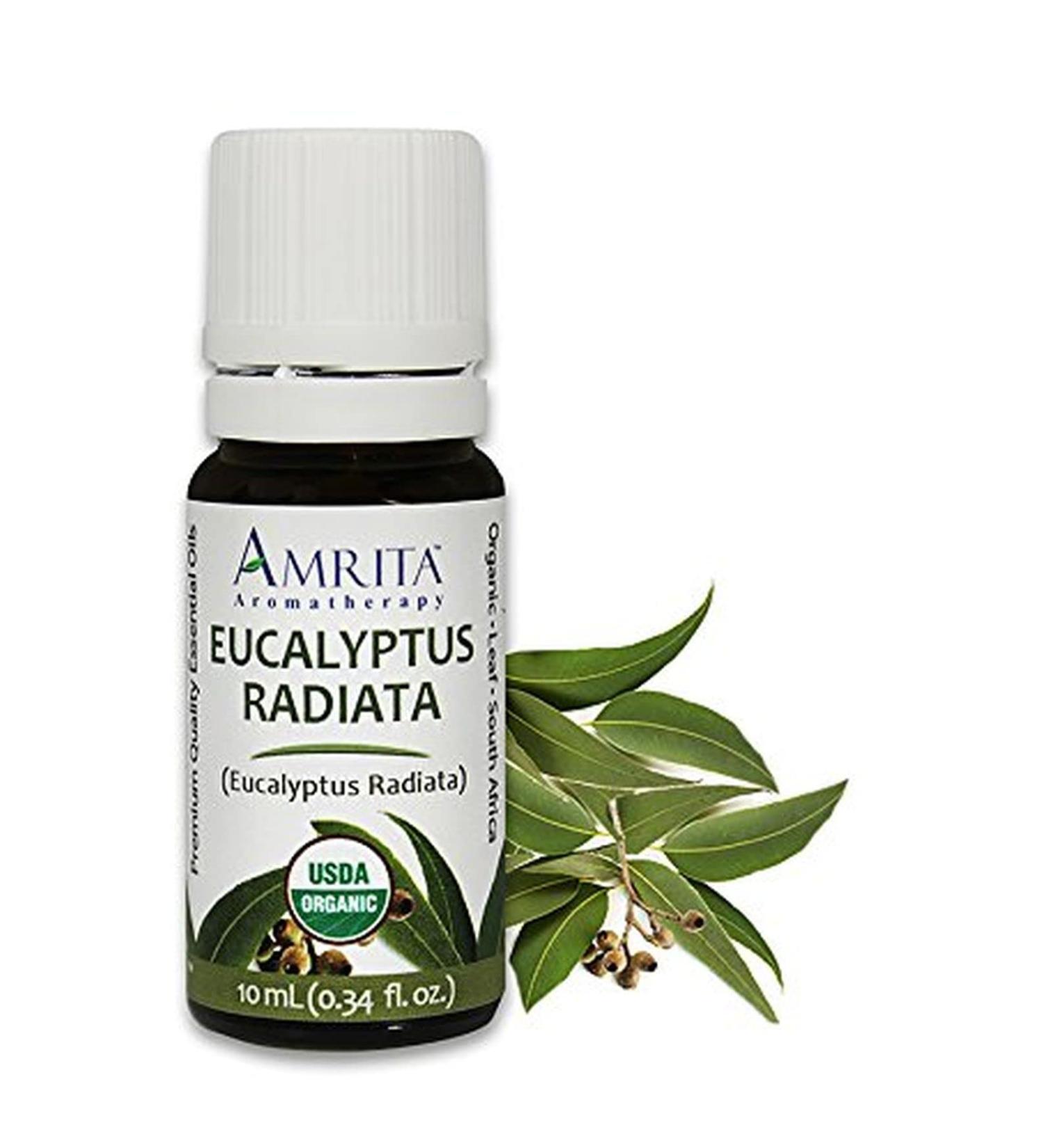 Amrita Aromatherapy Organic Eucalyptus Radiata Essential Oil 100% Pure Undiluted Eucalyptus Radiata Therapeutic Grade Premium Quality Aromatherapy Oil Tested & Verified 10ML - Buy Online on GoSupps.com
