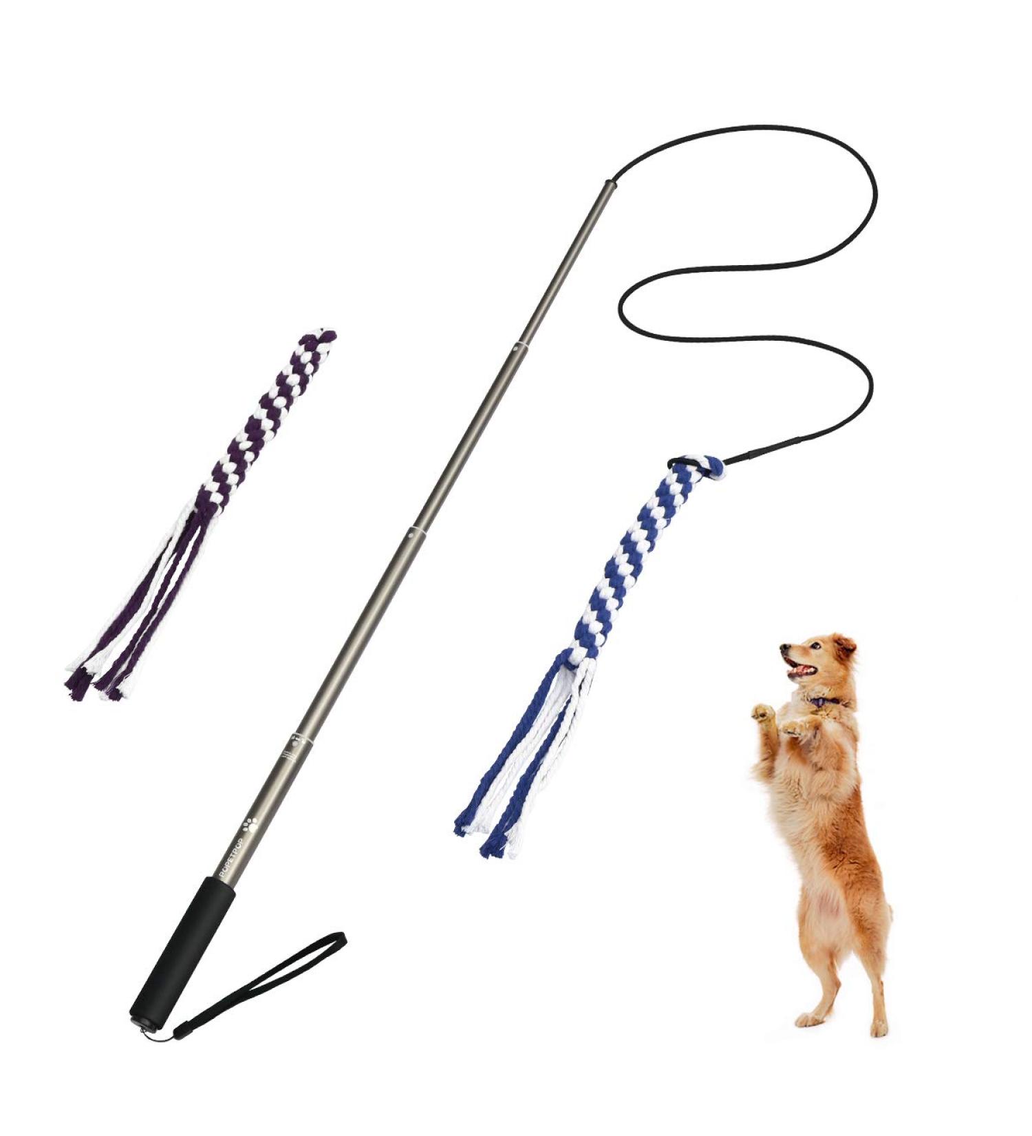 Buy PopetPop Interactive Dog Toys - Outdoor Training Fishing Pole Teaser for Large Dogs - Buy Online on GoSupps.com