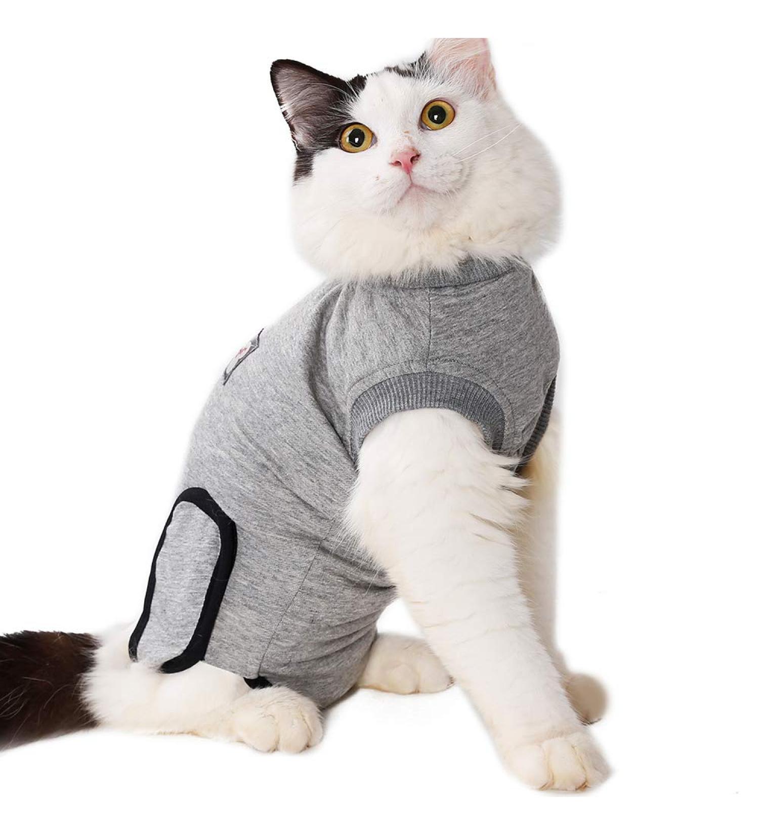 BT Bear Pet Surgery Recovery Suits Cats Clothes Abdominal Wounds Skin Diseases E-Collar Alternative Cotton Cat Shirt for Cats Puppy Small Dogs (XXS-Back length 25cm) XXS--Back length 25cm Chest--27cm - Buy Online on GoSupps.com