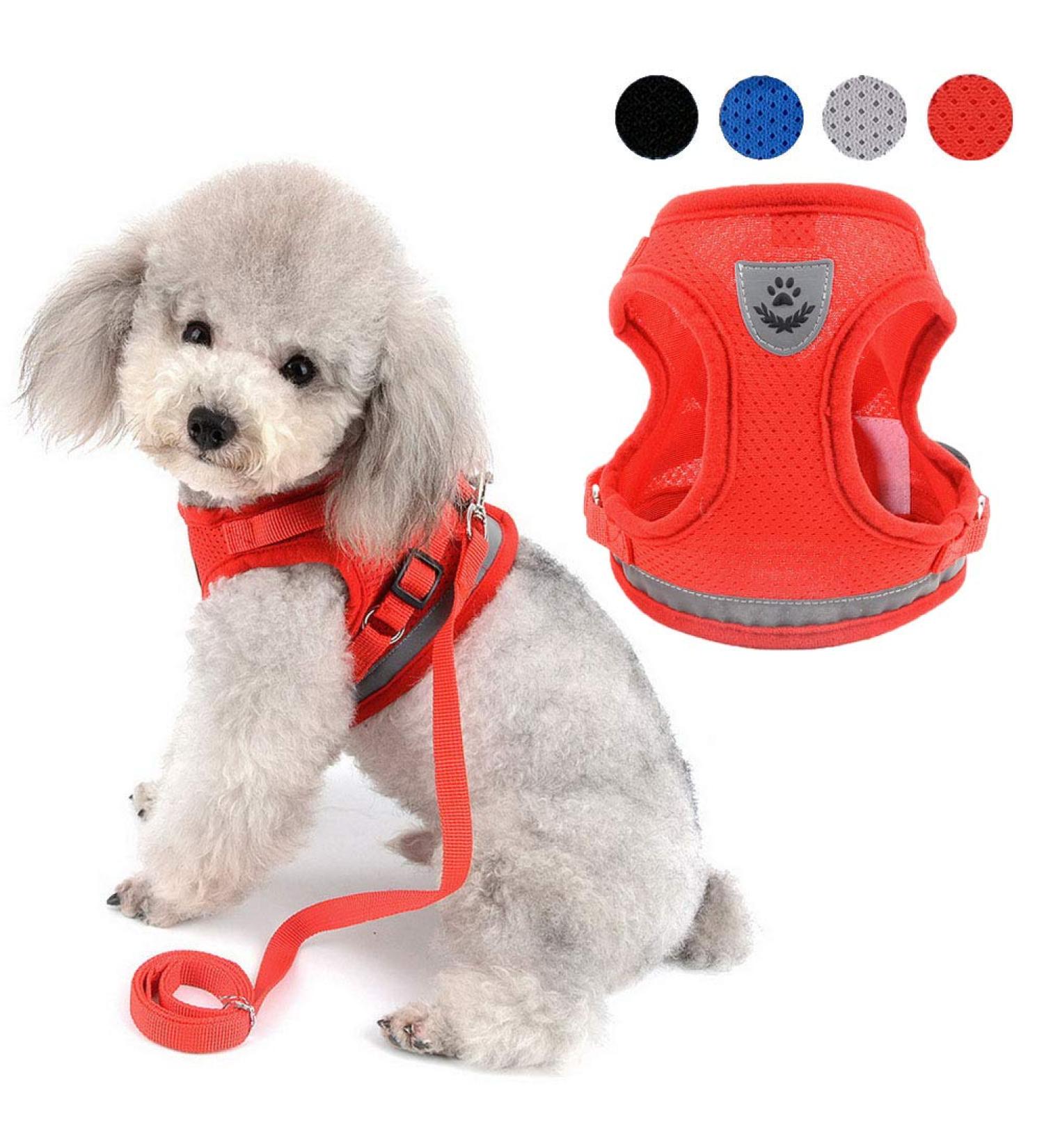 Zunea No Pull Dog Harness for Small Dog Reflective Breathable Soft Mesh Padded Step-in Vest Harness Leash Set Puppy Girl Dog Cat Lead for Daily Walking Running Training - (Red S) S (Pack of 1) red - Buy Online on GoSupps.com
