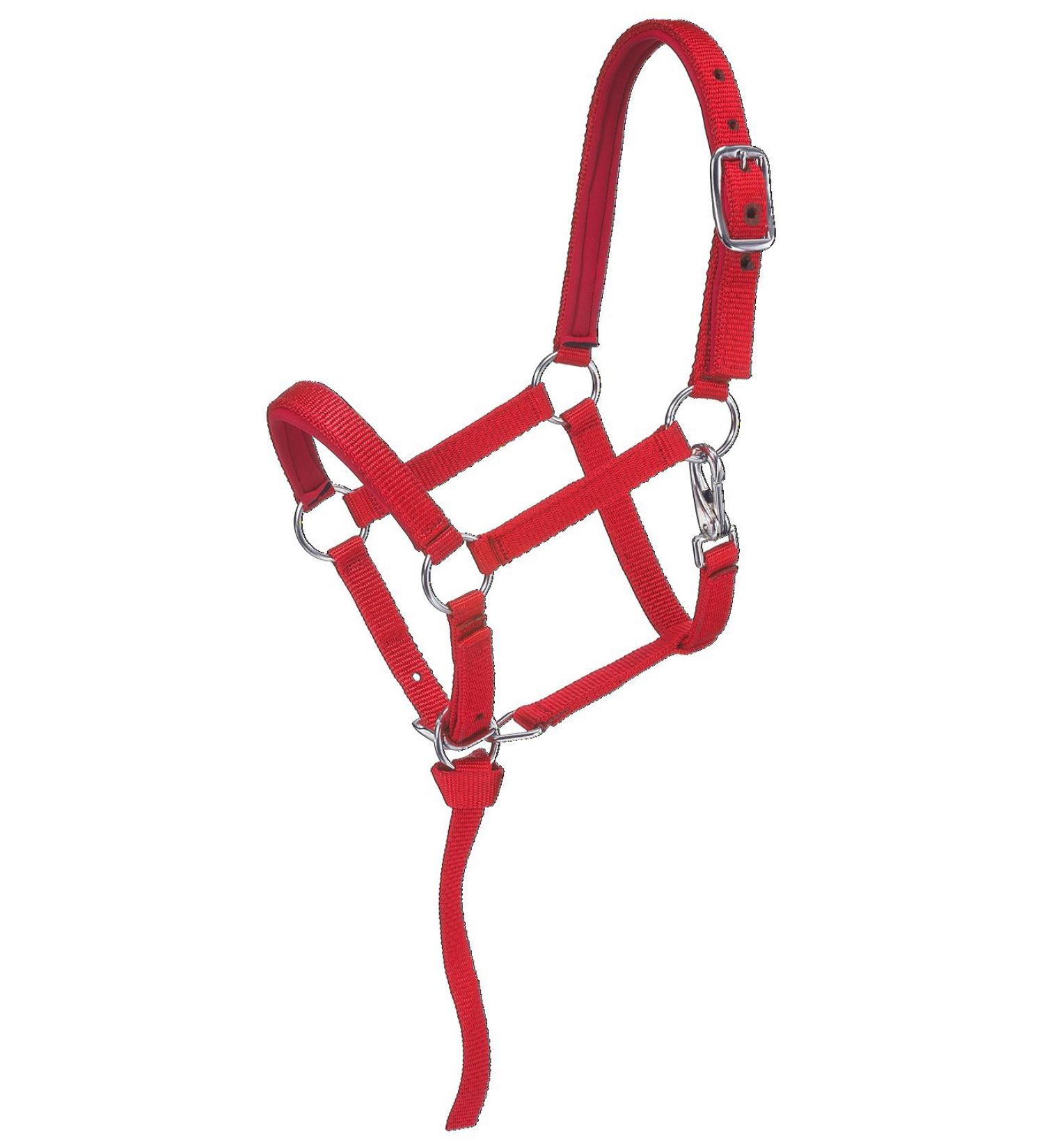 Tough 1 Nylon Padded Miniature Halter Red Medium