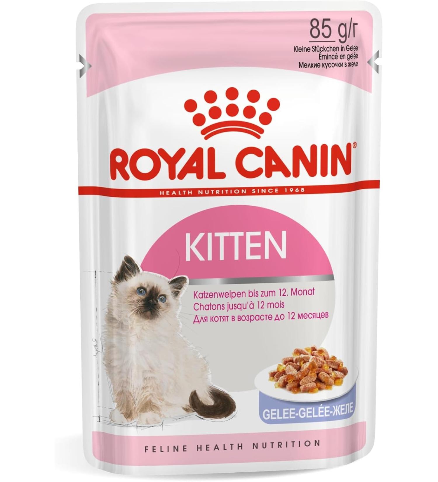 Royal Canin Kitten in JELLY Wet Adult Cat Food (24 x 85g) - Buy Online on GoSupps.com