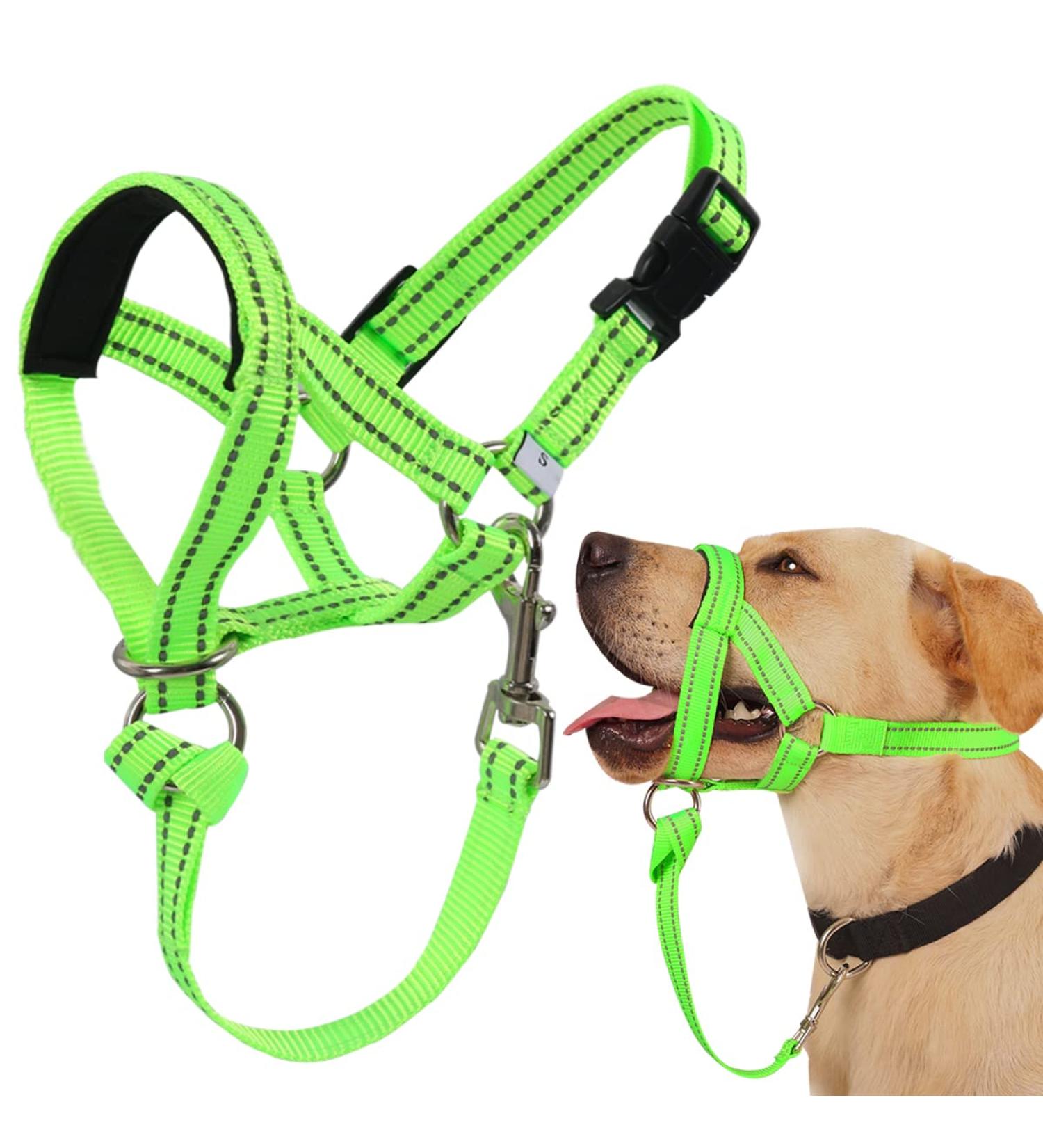 Dog Handlebars for Medium & Large Dogs - Soft Upholstery Durable Halter Training Instructions - L (17.8 - 35.6 cm) Green Nylon/Black Padding - Buy Online on GoSupps.com