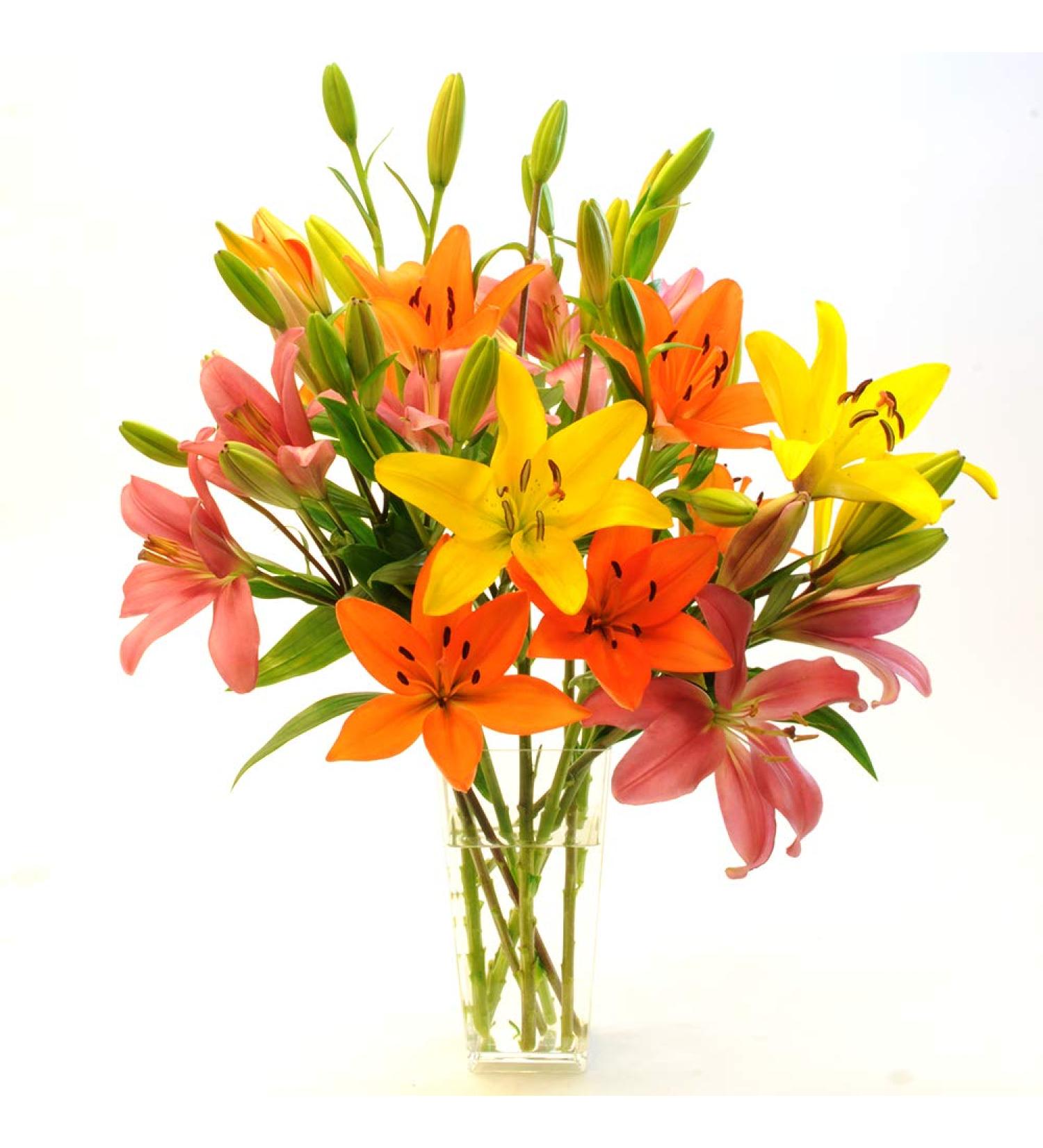 Stargazer Barn Autumnal Sunrise Bouquet Large Royal Lilies with Vase Freshly Cut from our farm- California Grown, Fresh Flowers, 30 Count