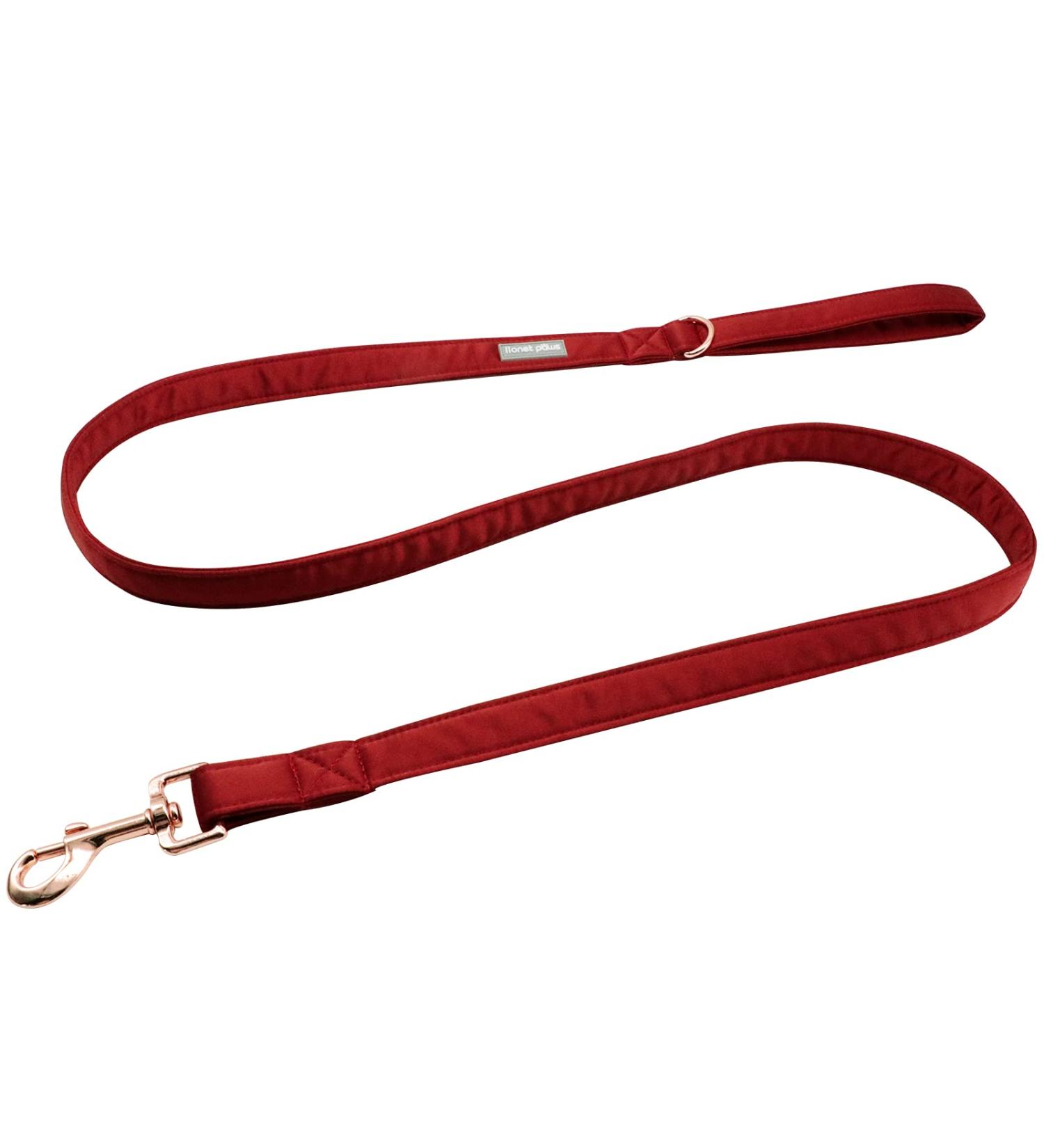 Lionet Paws Dog Leash - Premium Silk Leash for Small to Large Dogs | Matching Collars for Boys & Girls | Red (Pack of 1) - Shop Internationally - Buy Online on GoSupps.com