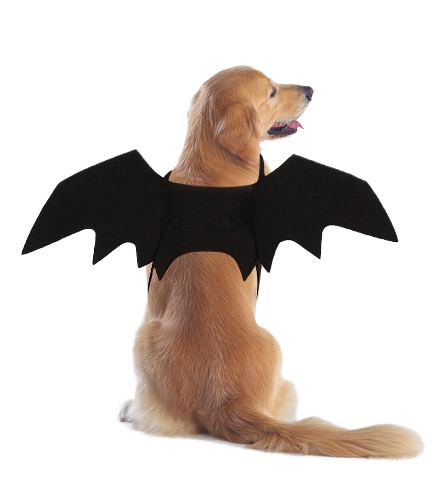 RANYPET Dog Bat Costume - Halloween Pet Costume with Bat Wings for Dogs & Cats | Perfect for Parties & Cosplay - Buy Online on GoSupps.com