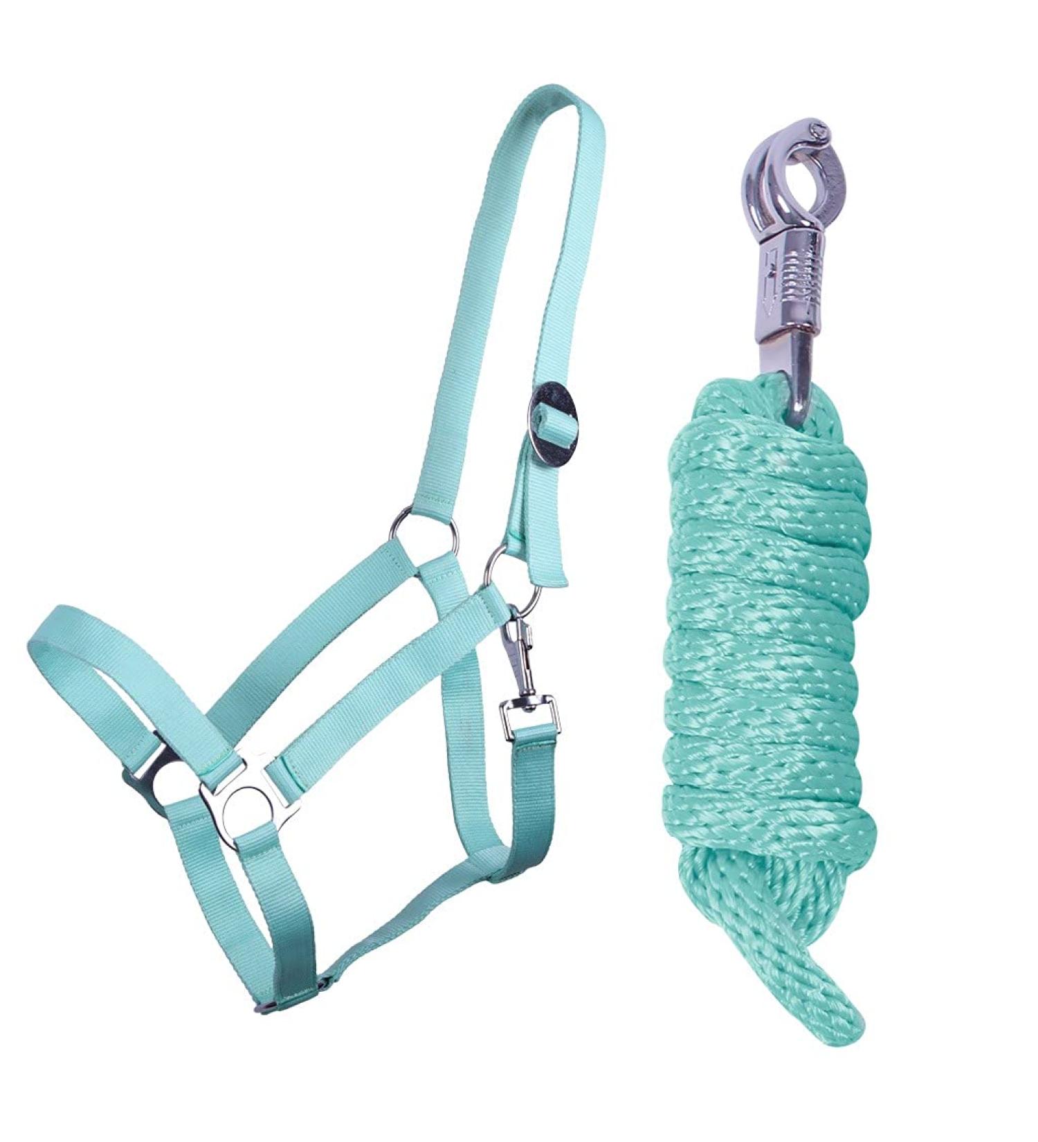 QHP Halter Set Beginner II Halter + Lead Rope with Panic Hook Adjustable (Shetty Ice Green) Shetty ice green