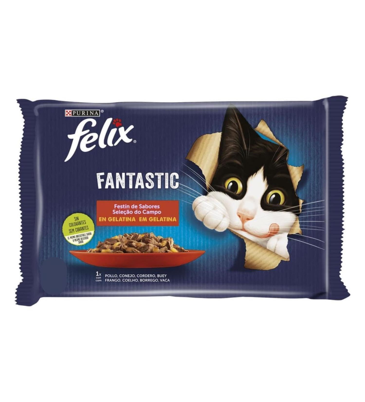 Felix Purina Fantastic Wet Food for Adult Cats Pack of 12 sachets of 85 g - Buy Online on GoSupps.com