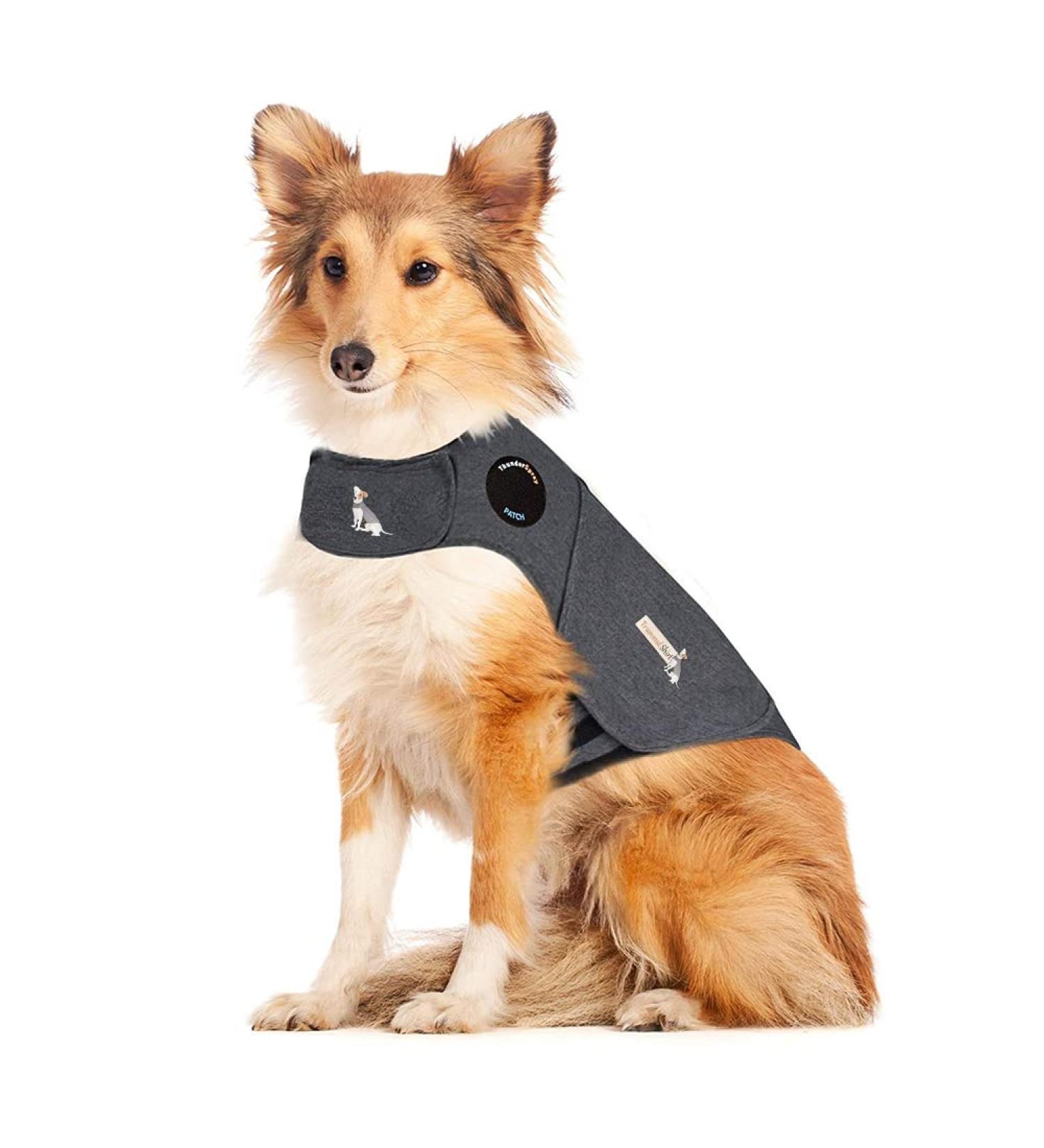 Thunder Dogs Classic Anxiety Vest for Small Dogs - Calming Shirt for Anxiety Relief - Buy Online on GoSupps.com