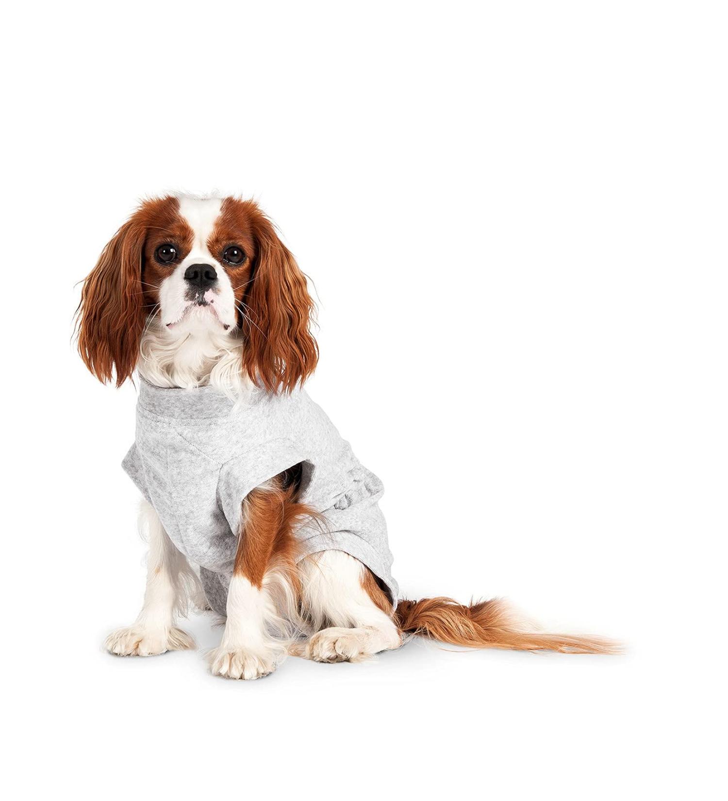 Karlie Safety Body Wound Protection for Dogs - Grey 29cm | International Shipping Available - Buy Online on GoSupps.com