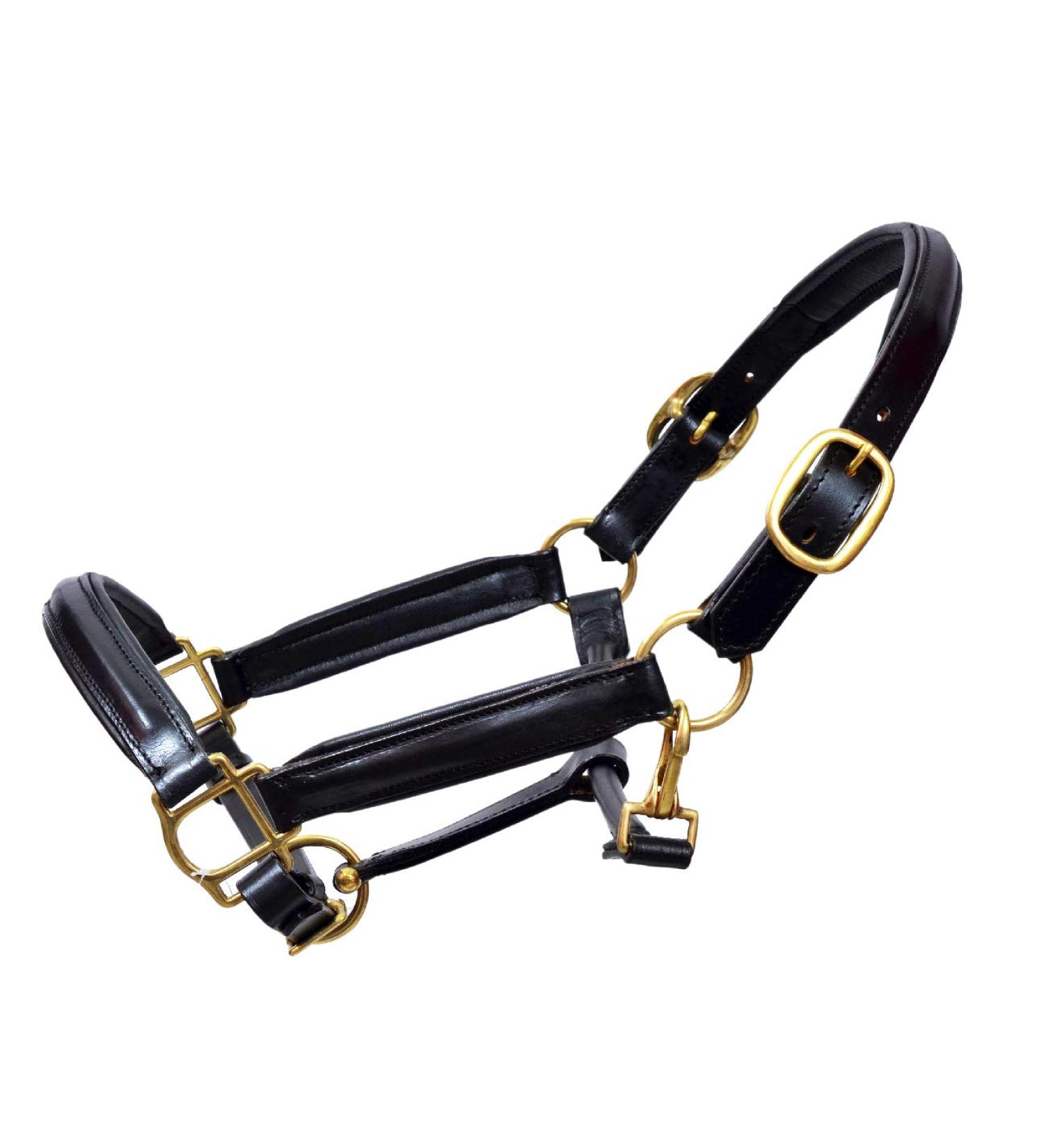 Aces Equine LEATHER HORSE HEADCOLLAR HALTER FULLY RAISED AND PADDED BLACK COLOR BRASS FITTING COB - Buy Online on GoSupps.com