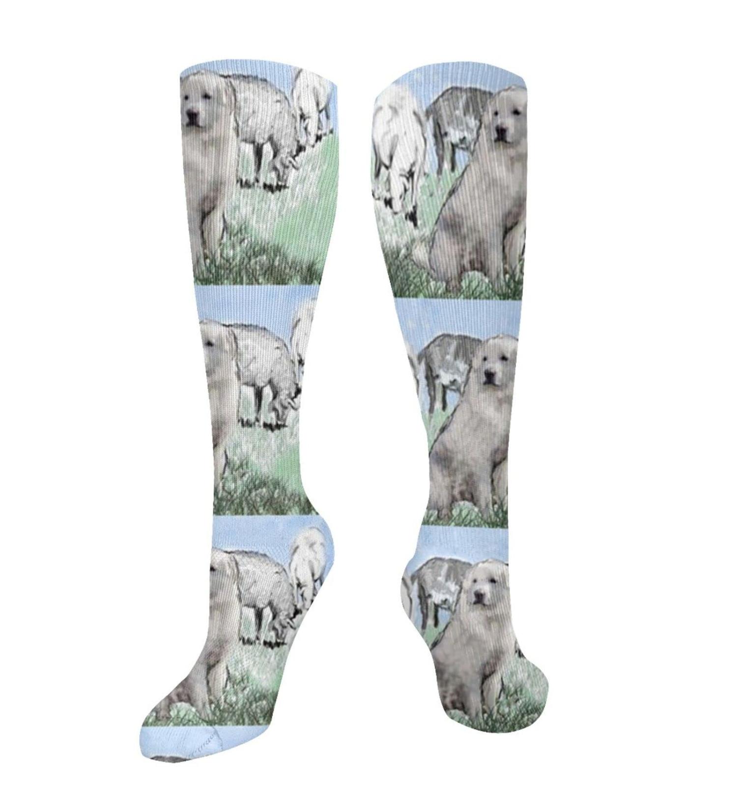 Great Pyrenees Compression Socks for Men & Women - 15-20 mmHg Support for Running & Cycling - Buy Online on GoSupps.com