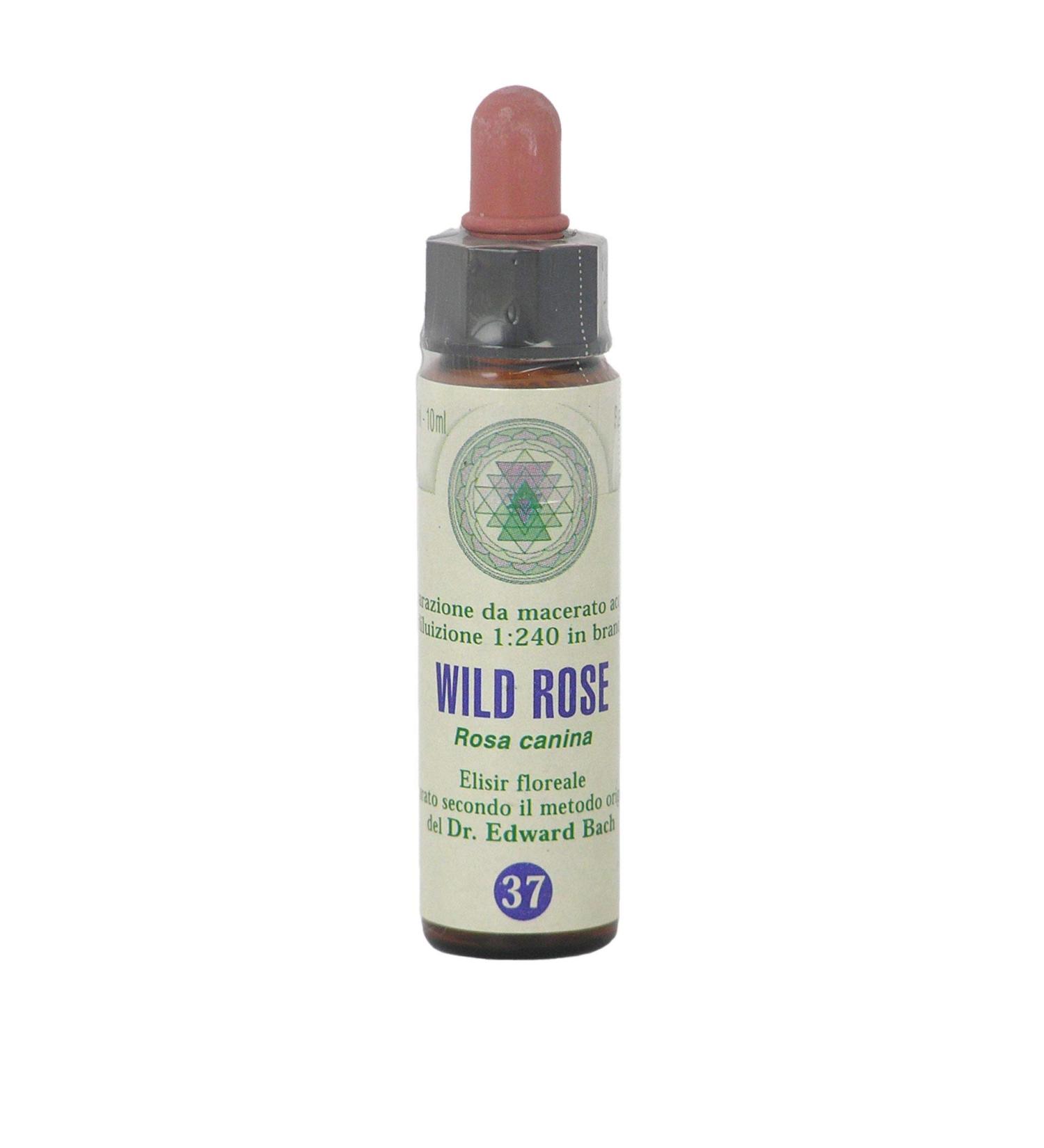 Wild Rose n 37 Fleur de Bach farmaflor 1 Flacon Comtpe Gouttes 10ml - Made in Italy - Buy Online on GoSupps.com