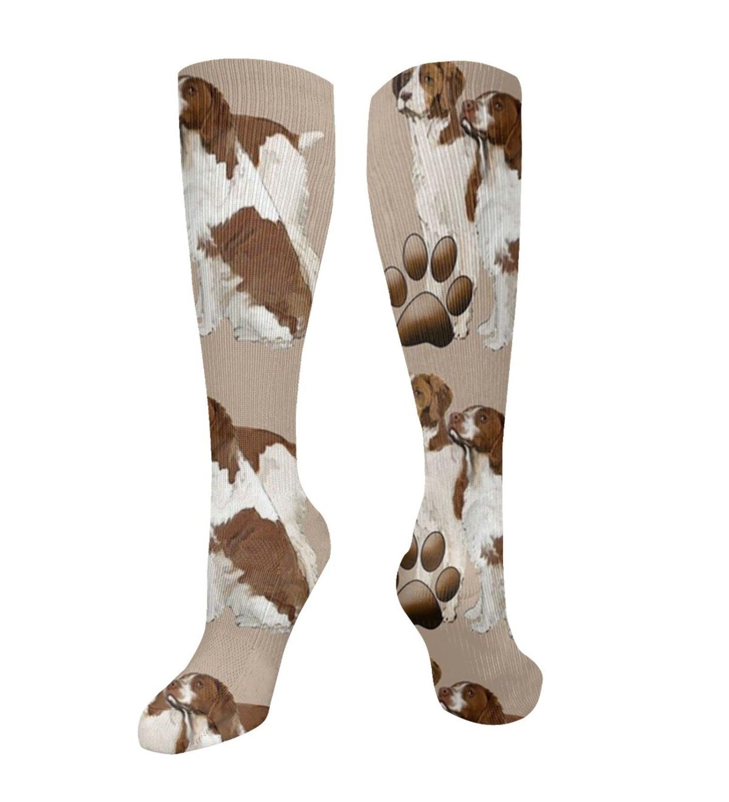 Buy Brittany Spaniel Liver-Colored Compression Socks | 15-20 mmHg Support for Running & Cycling - Unisex - Buy Online on GoSupps.com