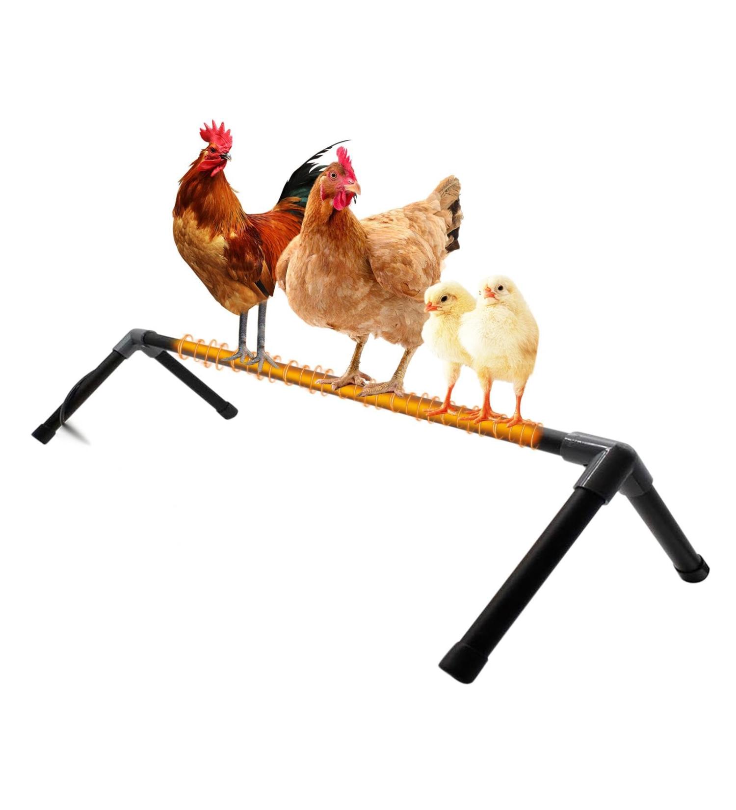 10W Adjustable Chicken Heating Ribs - Thermal Coop Warmer for Birds & Pets | Constant Temperature Breeding Station - Buy Online on GoSupps.com