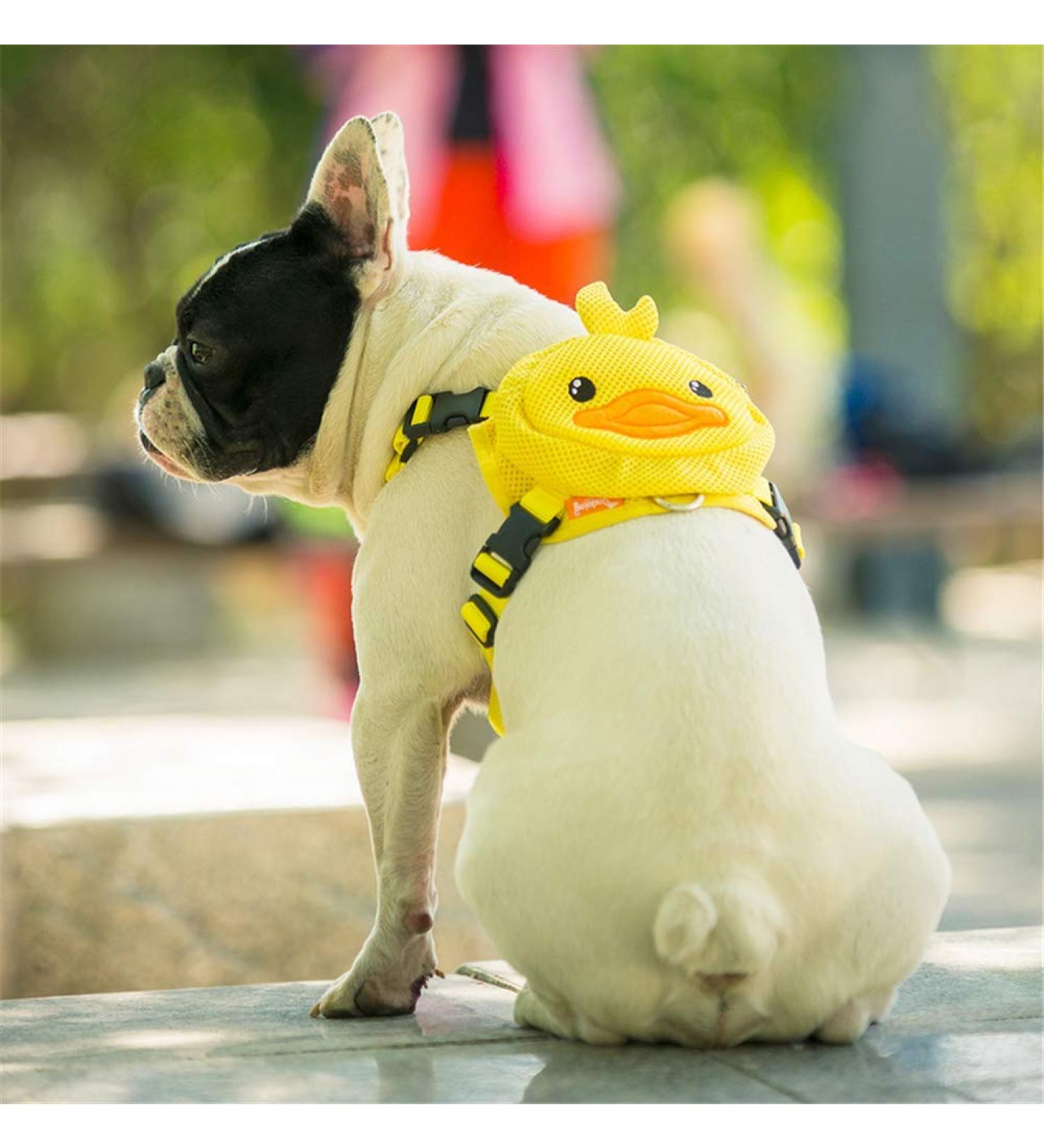 Purime Small Dog Harness Set with Leash & Backpack - Ideal for Hiking Camping & Outdoor Adventures - Yellow - Buy Online on GoSupps.com