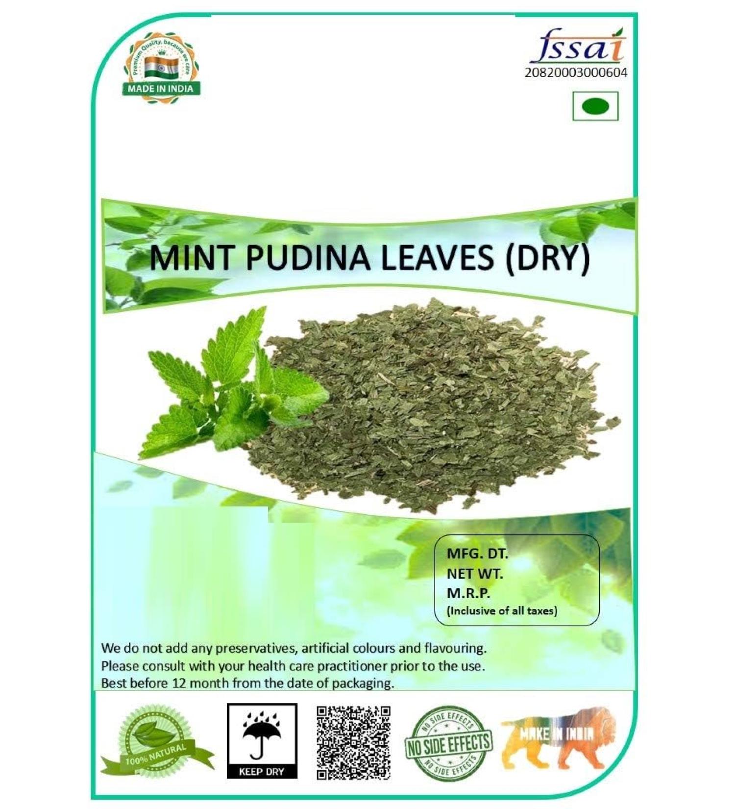 JEVR Pudina Mint Leaf 200g