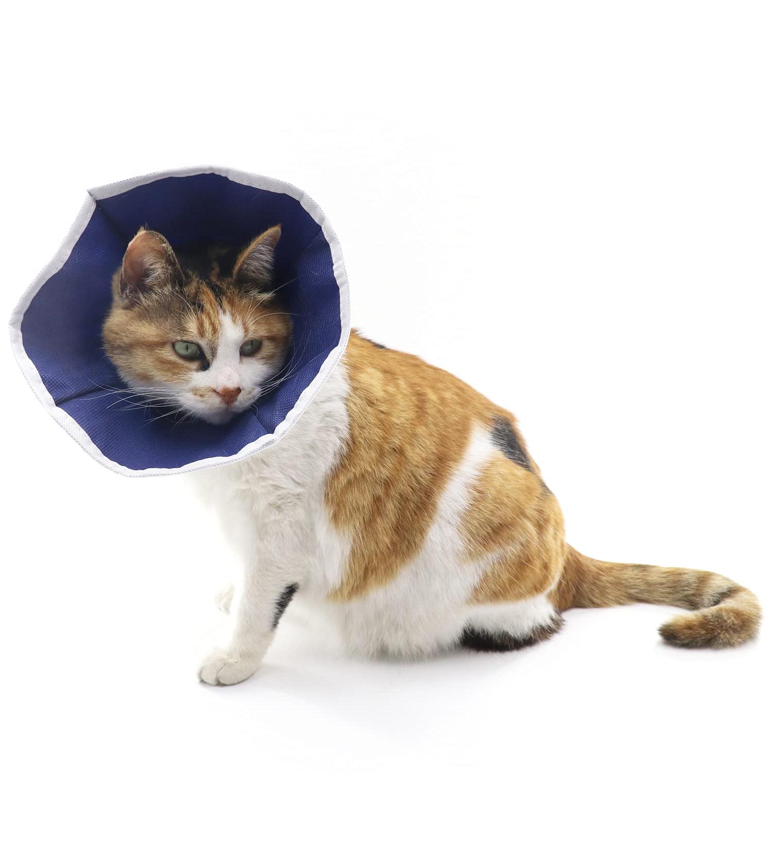 QIYADIN Soft Cat Recovery Collar | Nonwoven Fabric Elizabeth Cone | Protective Wound Healing | Designed for Cats | Easy Eating & Drinking | Small - Buy Online on GoSupps.com