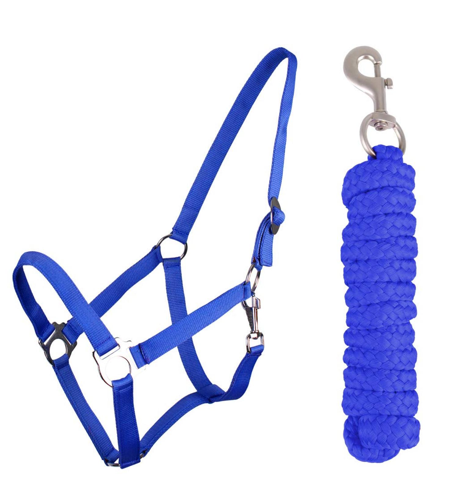 QHP Halter Set Beginner Halter + Lead Rope Heavy Snap Hook (Shetty Cobalt Blue) Shetty Cobalt Blue