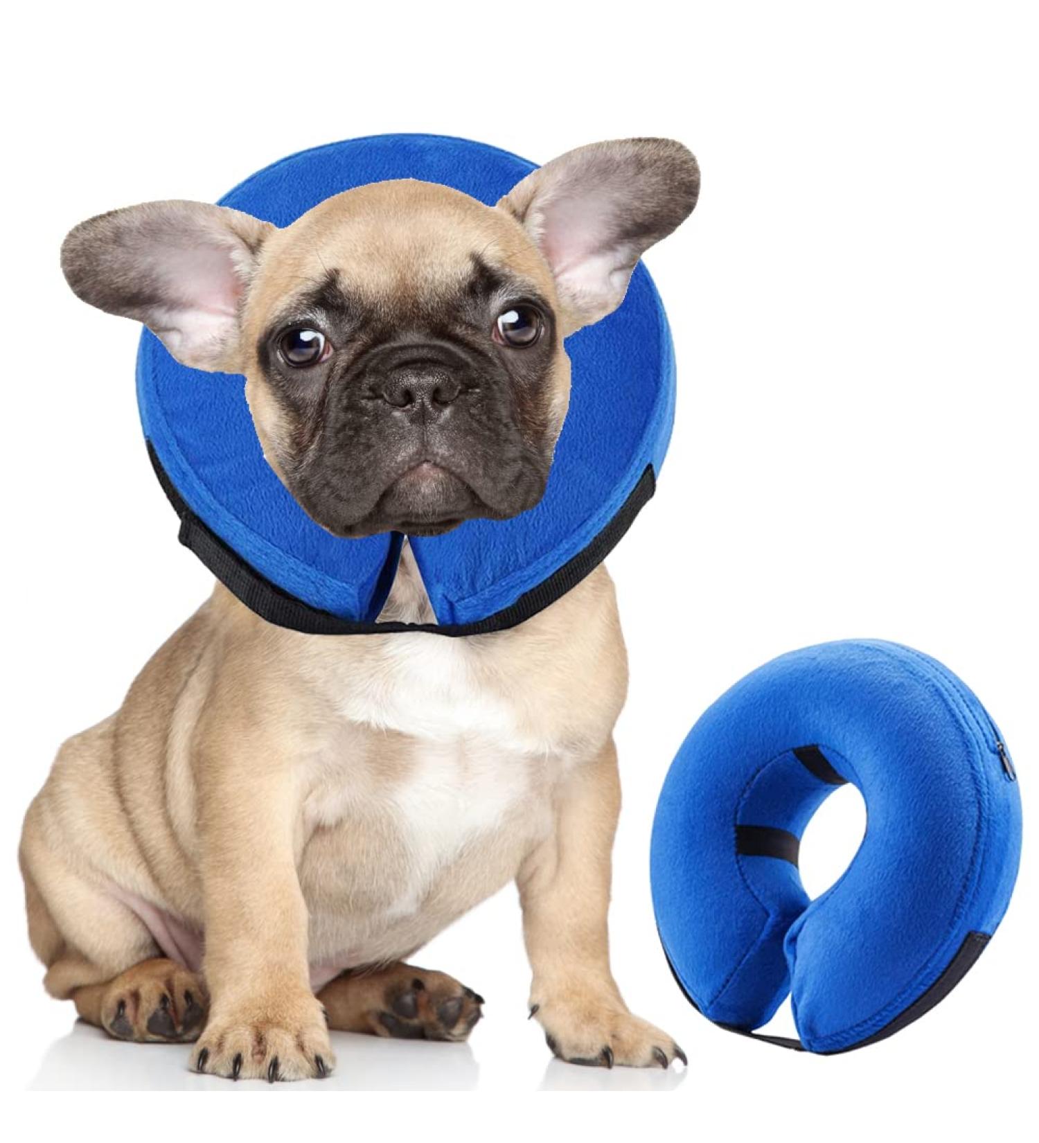 QIYADIN Soft Dog Recovery Collar | Adjustable Inflatable Pet Cone for Cats & Dogs | Prevent Biting & Scratching - Medium - Buy Online on GoSupps.com