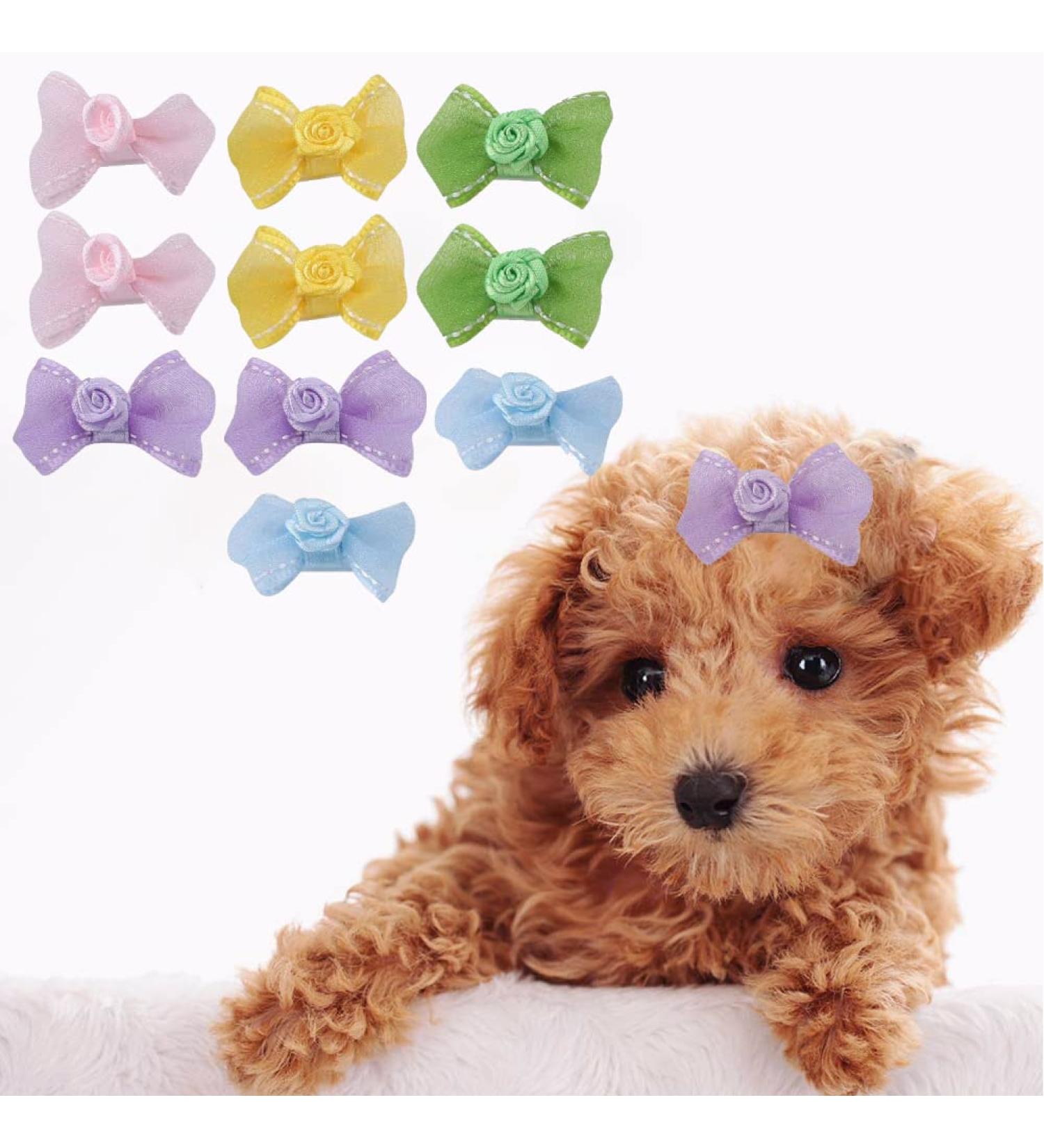 10Pcs/Set Dog Hair Bows Lovely Pets Hair Clips Bowknot Clip Hairpins Cats Dogs Hair Accessories Pet Grooming Products for Puppies Cats and Other Small Pets - Buy Online on GoSupps.com