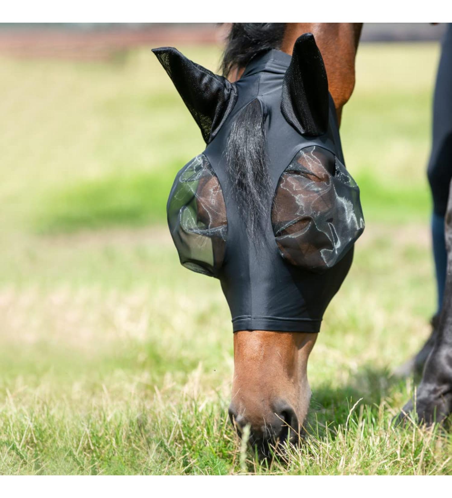 Buy Busse Fly Mask Twin Fit Flexi in Black | Premium Fly Protection for Horses - International Shipping - Buy Online on GoSupps.com