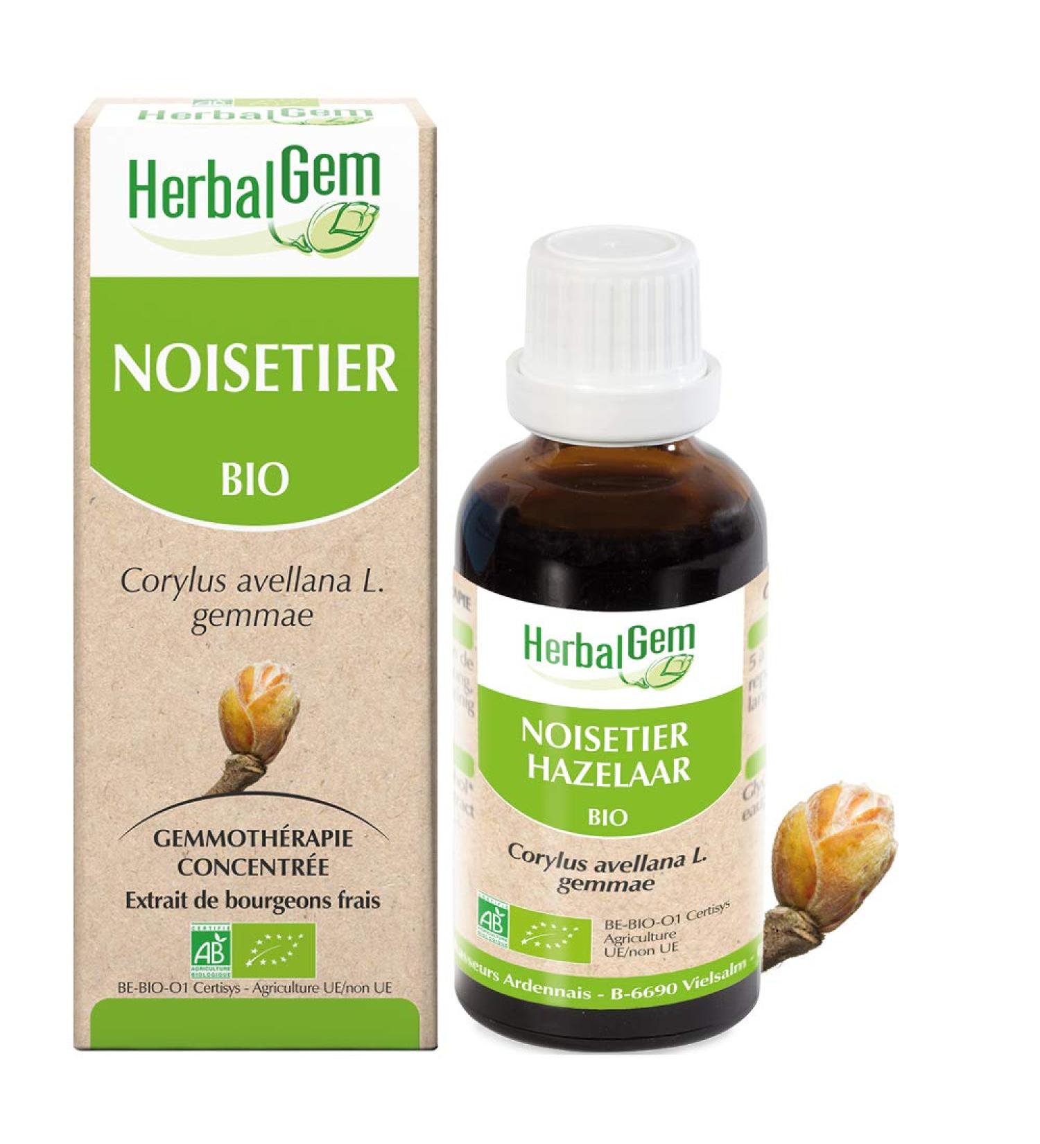 HERBALGEM - Mother Macerate - Organic Hazel - Food Supplement Gemmotherapy Concentrated - Fresh Bud Extract - For Airways - Vegan - 30 ml - Buy Online on GoSupps.com