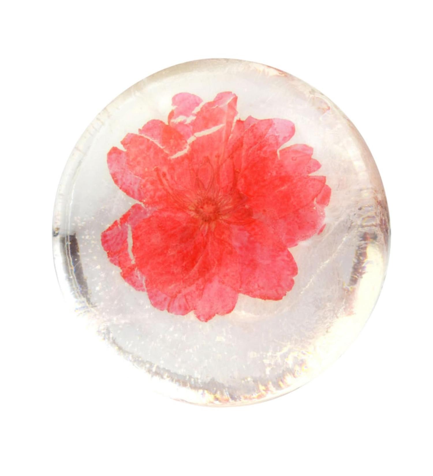 TOVINANNA Transparent Soap Aromatherapy Soap Bathing Soap Face Washing Soap Flower Design Soap Clothes Soap Scented Soap Shower Soap Acid Soap Handmade Soap Flowers Clean Essence Etc. - Buy Online on GoSupps.com