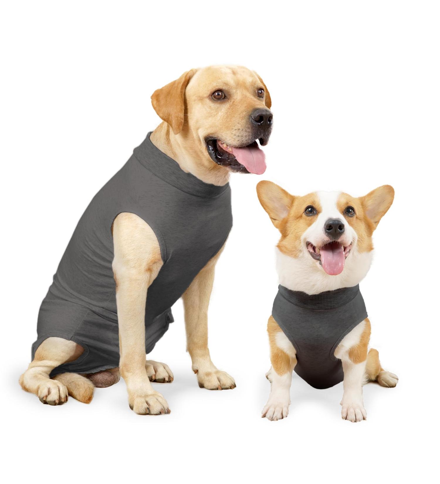 Heywean Dog Recovery Suit - Post-Op Castration Wound Protection for Dogs - Medical Shirt & Surgical Body Suit - XL Gray - Professional Pet Recovery Solution - Buy Online on GoSupps.com