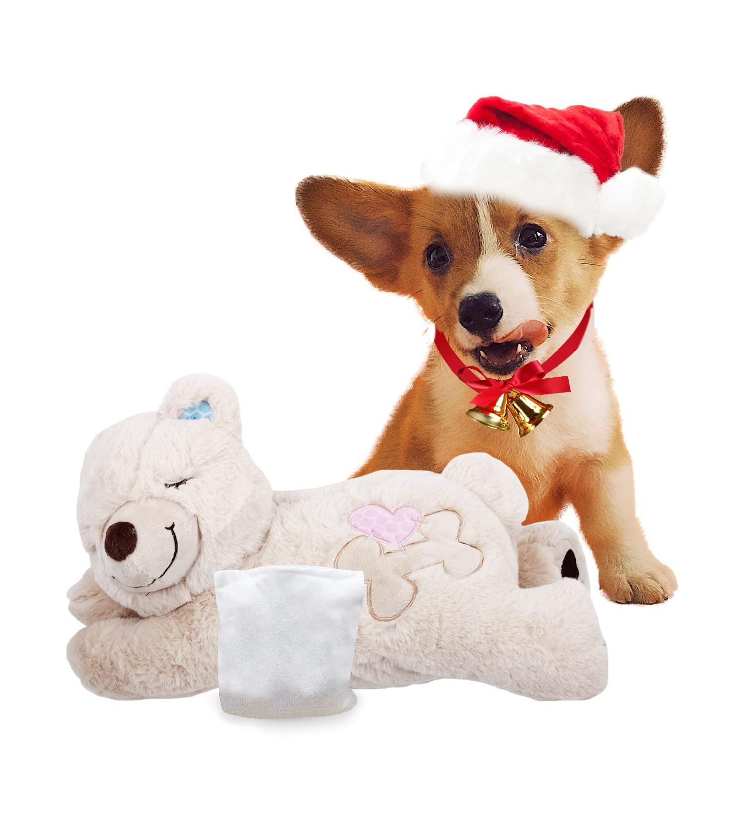 ALL FOR PAWS Little Buddy Bear - Cuddly Plush Toy for Puppies | Soft White Bear Toy & Pet Behavior Aid - Buy Online on GoSupps.com