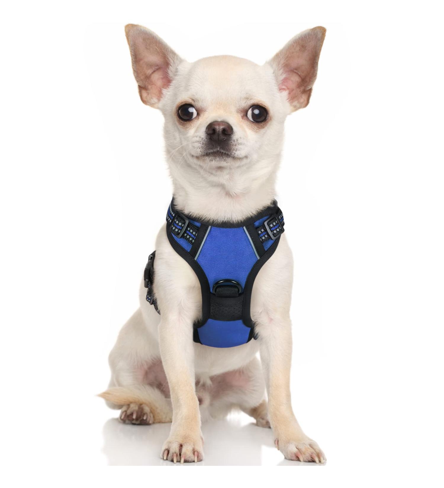 Rabbitgoo Adjustable Dog Harness for Small Dogs - No Pull Control Breast Harness with Reflex Stripes Breathable Design - XS Blue (1 Pack) - Buy Online on GoSupps.com
