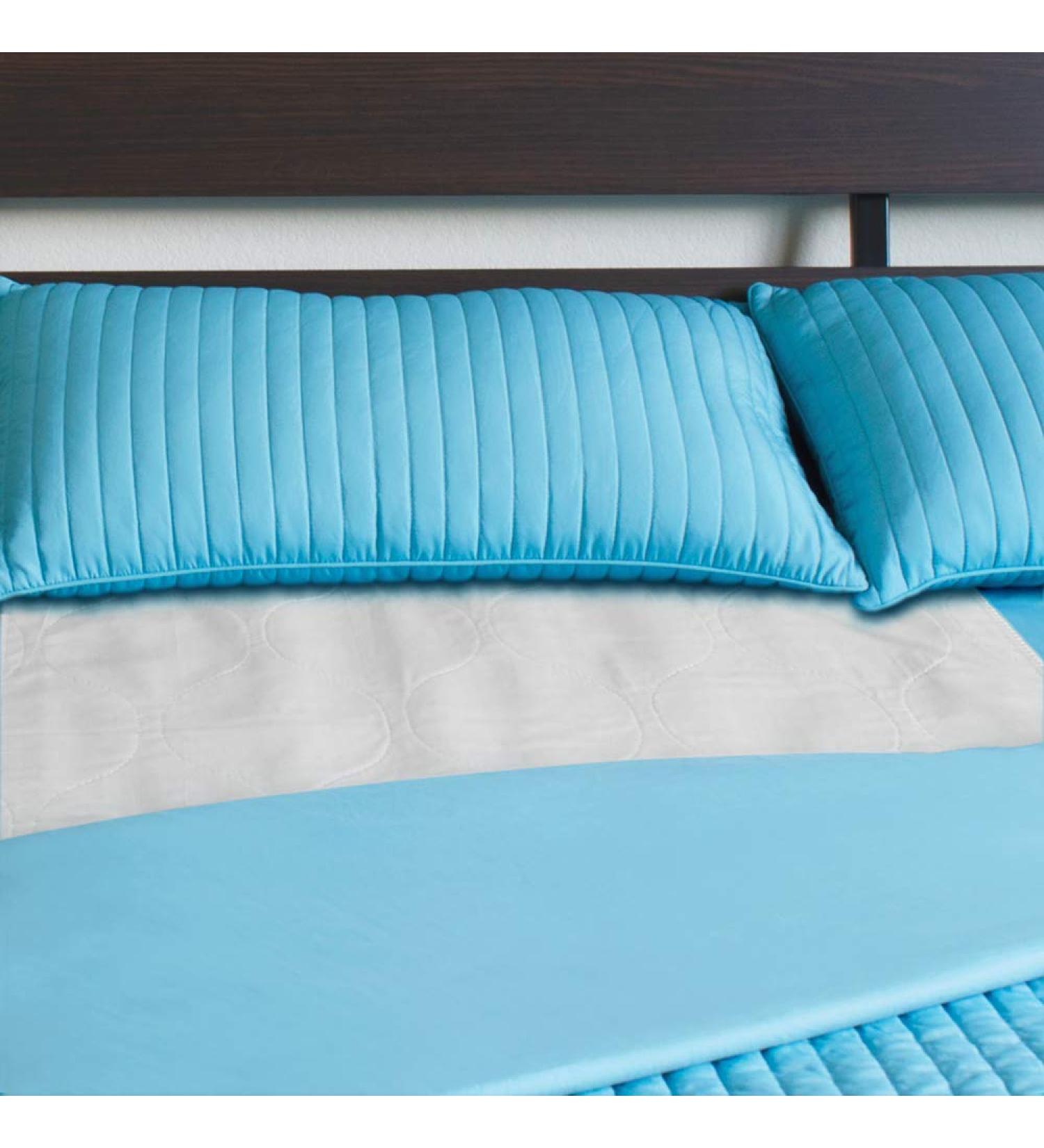 Healthy Spirit Waterproof Sheet Protector Reusable Absorbent Underpad  30 X 34 inch  1 Count - Buy Online on GoSupps.com