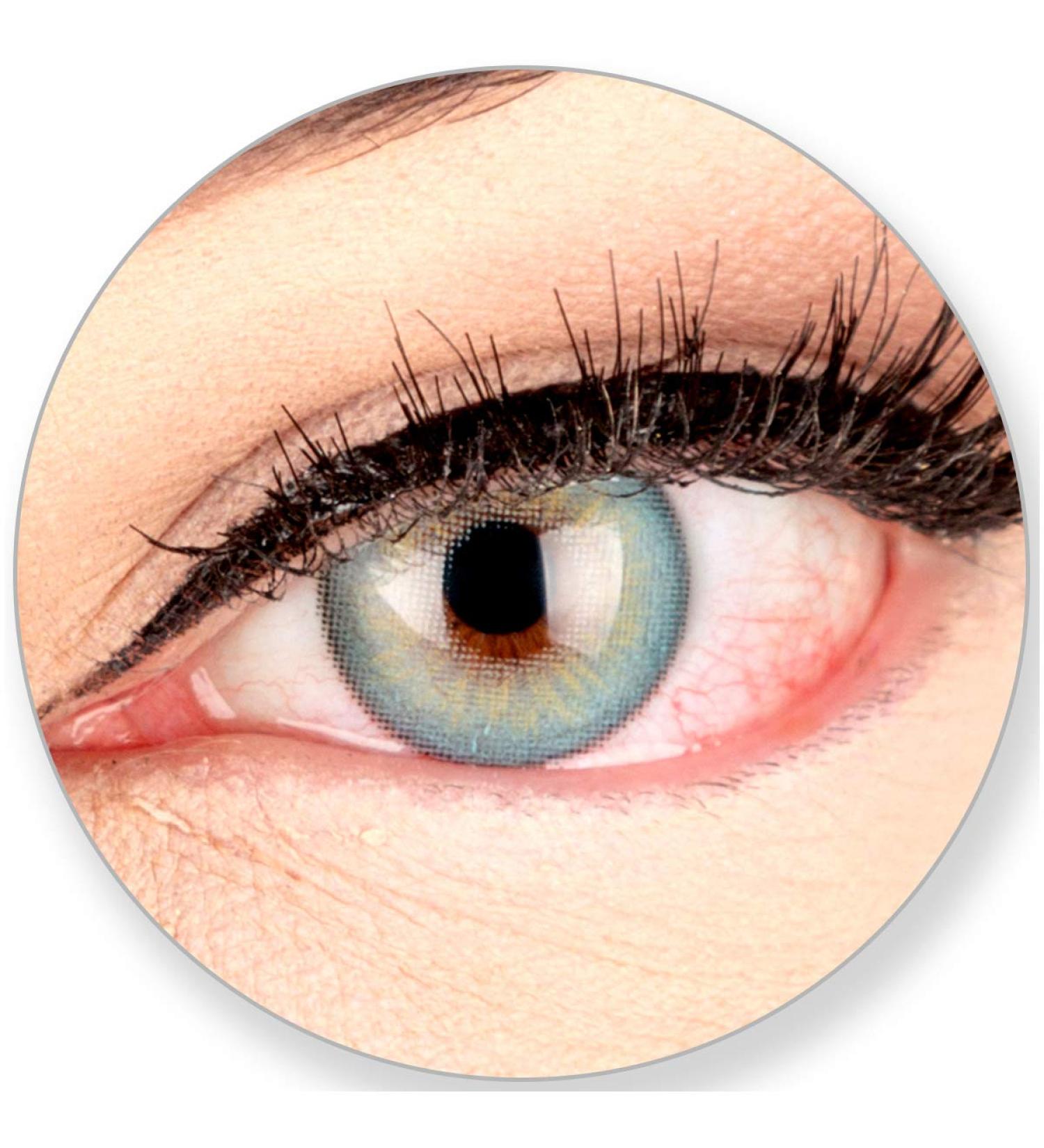Buy GlamLens Elly Blue Silicone Comfort Soft Contact Lenses - 2 Colored Blue 3-Month Wear Perfect for Dark Brown Eyes - No Prescription Required - Buy Online on GoSupps.com