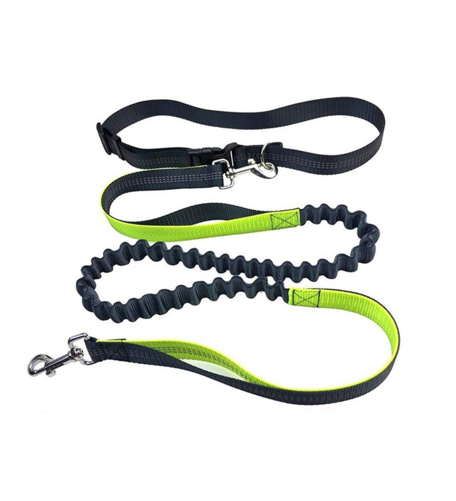 Aiqeer Grey Hands Free Dog Leash Adjustable Waist Belt and Retractable Bungee Leash Jogging Dog Leash with Reflective Stitching (Green Handle) - Buy Online on GoSupps.com