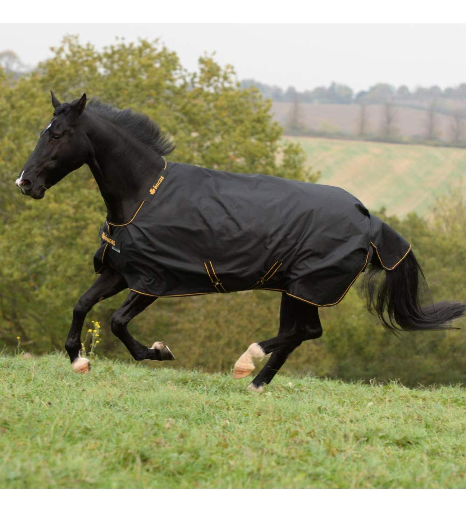 Buy Kerbl Bucas Irish Turnout Horse Blanket Light 50g - 130 SW/Gold Black/Gold - International Shipping Available - Buy Online on GoSupps.com