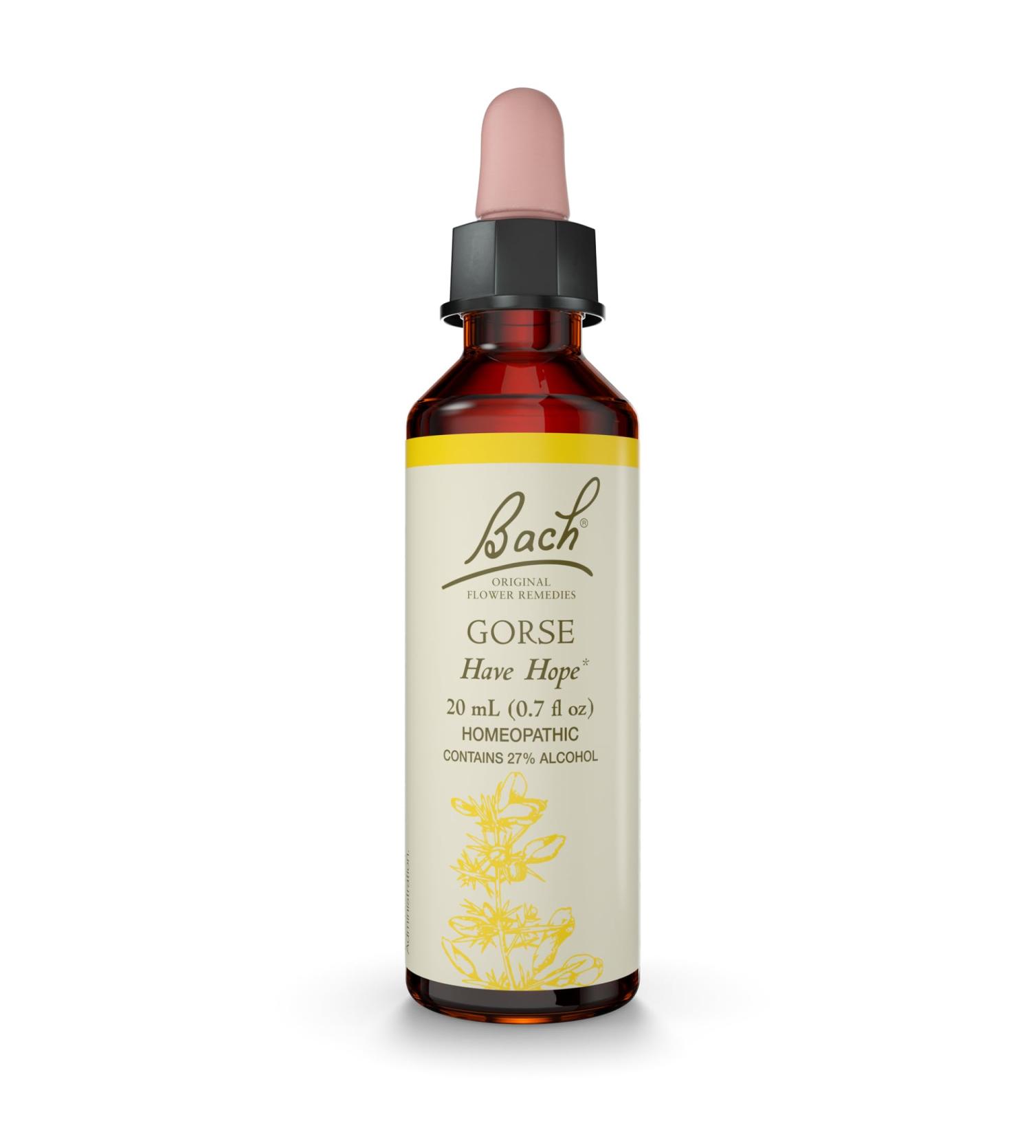 Bach Original Flower Remedies Gorse - Have Hope - Natural Homeopathic Flower Essence for Emotional Balance - Vegan Gluten Free Sugar Free - 20mL Dropper - Buy Online on GoSupps.com