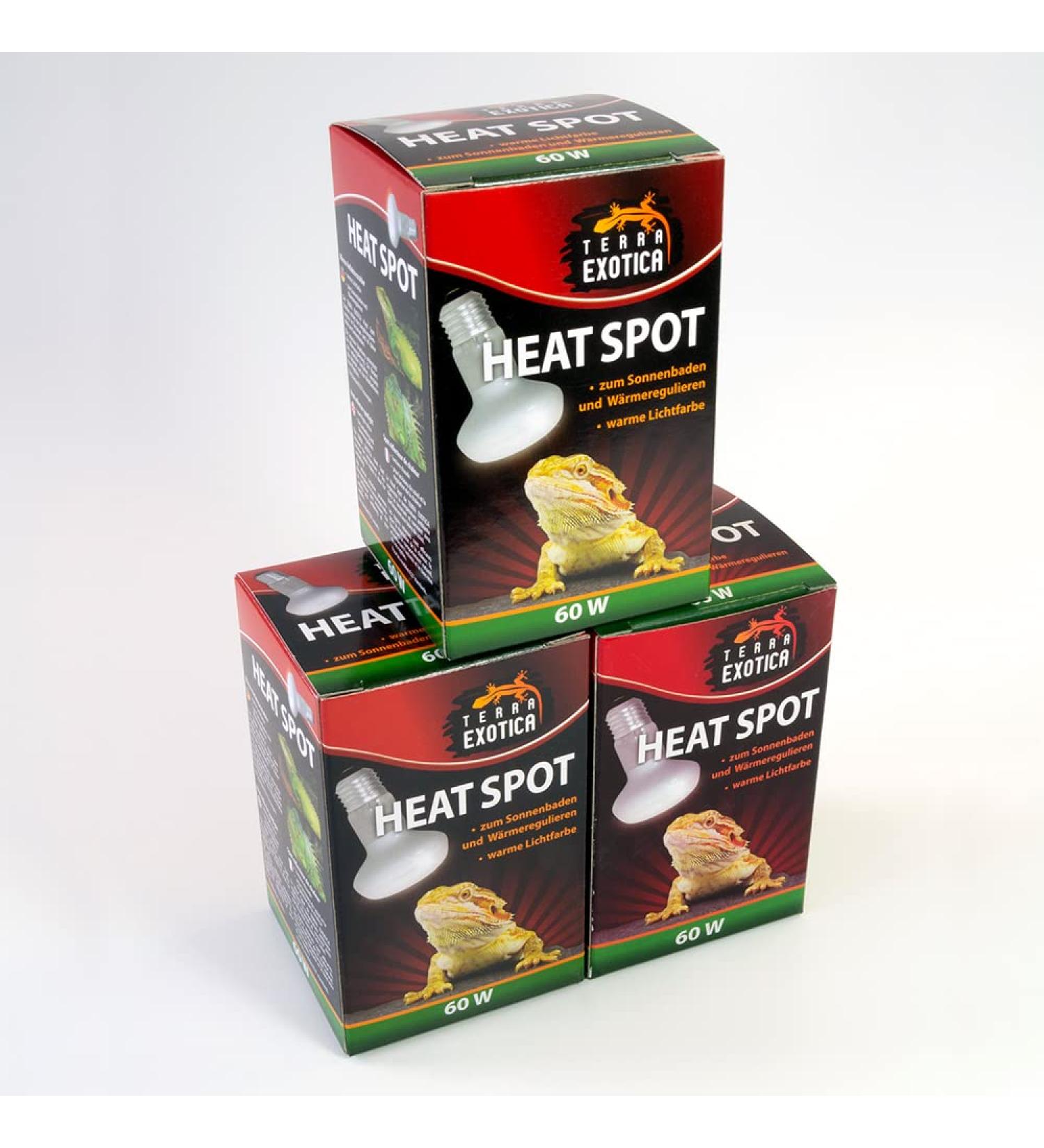 Terra Exotica 60W Heat Spot Lamp for Reptiles - 3-Pack Terrarium Lighting | 25W 40W 75W 100W 150W Options Available - Buy Online on GoSupps.com