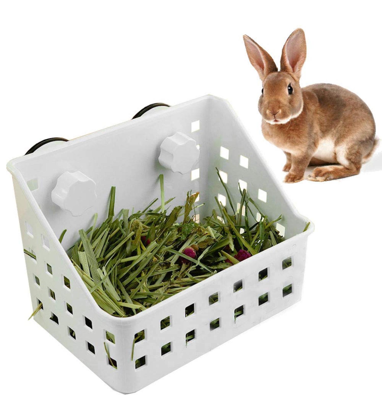 PINVNBY Hay Feeder Less Wasted Hay Rack Manger - Ideal for Rabbit Chinchilla Guinea Pig Plastic Food Bowl Use for Grass & Food - Buy Online on GoSupps.com