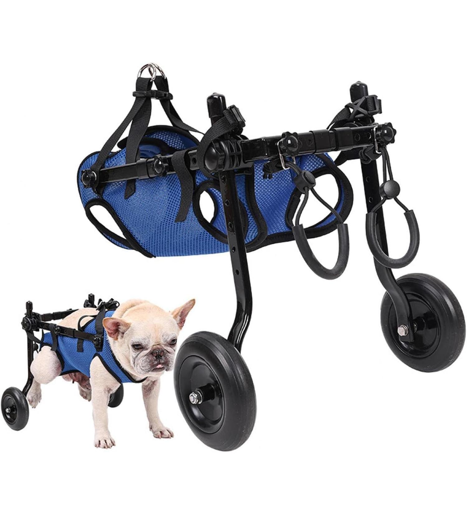 Disability Dog Wheelchair Small Pet Back Leg Wheelchair Adjustable Lightweight Dog Wheelchair Dog Mobility Aid Trolley with Wheels Rehabilitation of The Back Legs of The Dog X-Small - Buy Online on GoSupps.com
